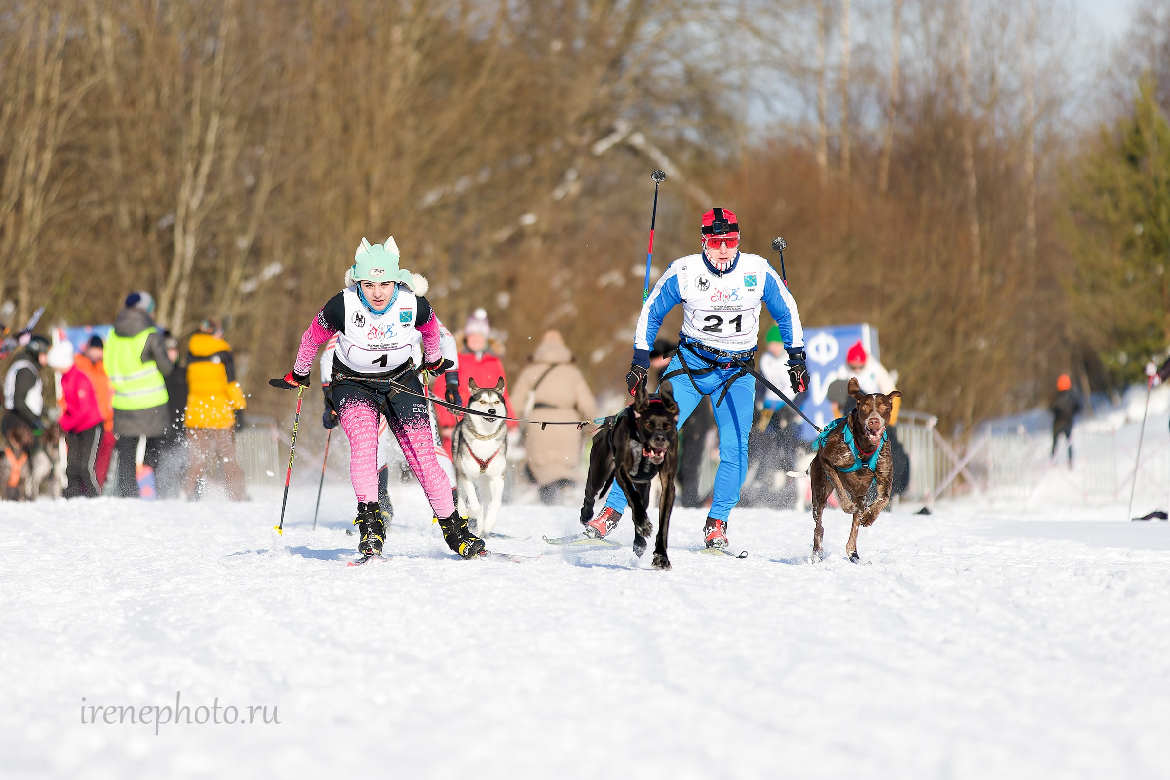 Чемпионат и Первенство Ленобласти — зима 2026. Irenephoto.ru
