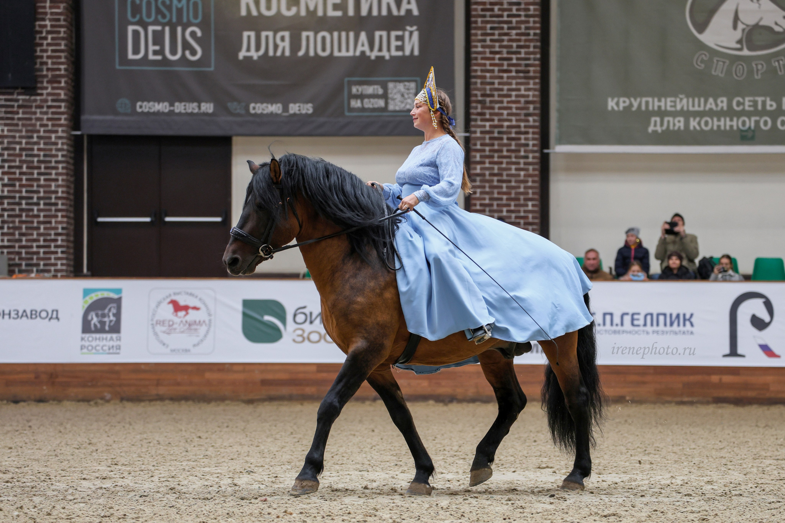 Конная Россия 2024. Irenephoto.ru