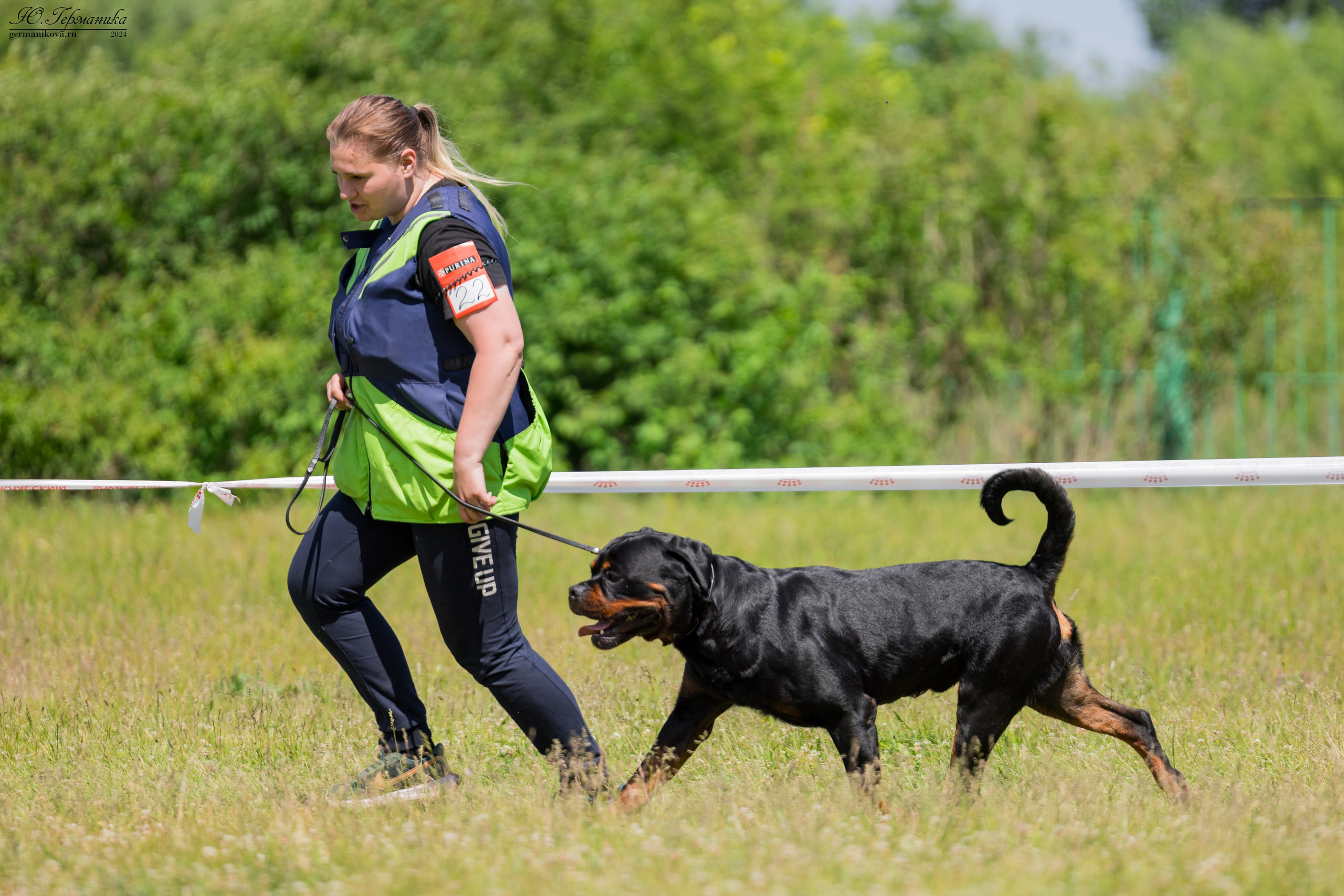 Воронеж моно ротвейлеров 25-26.05.2024. Фотограф-анималист Юлия Германика
