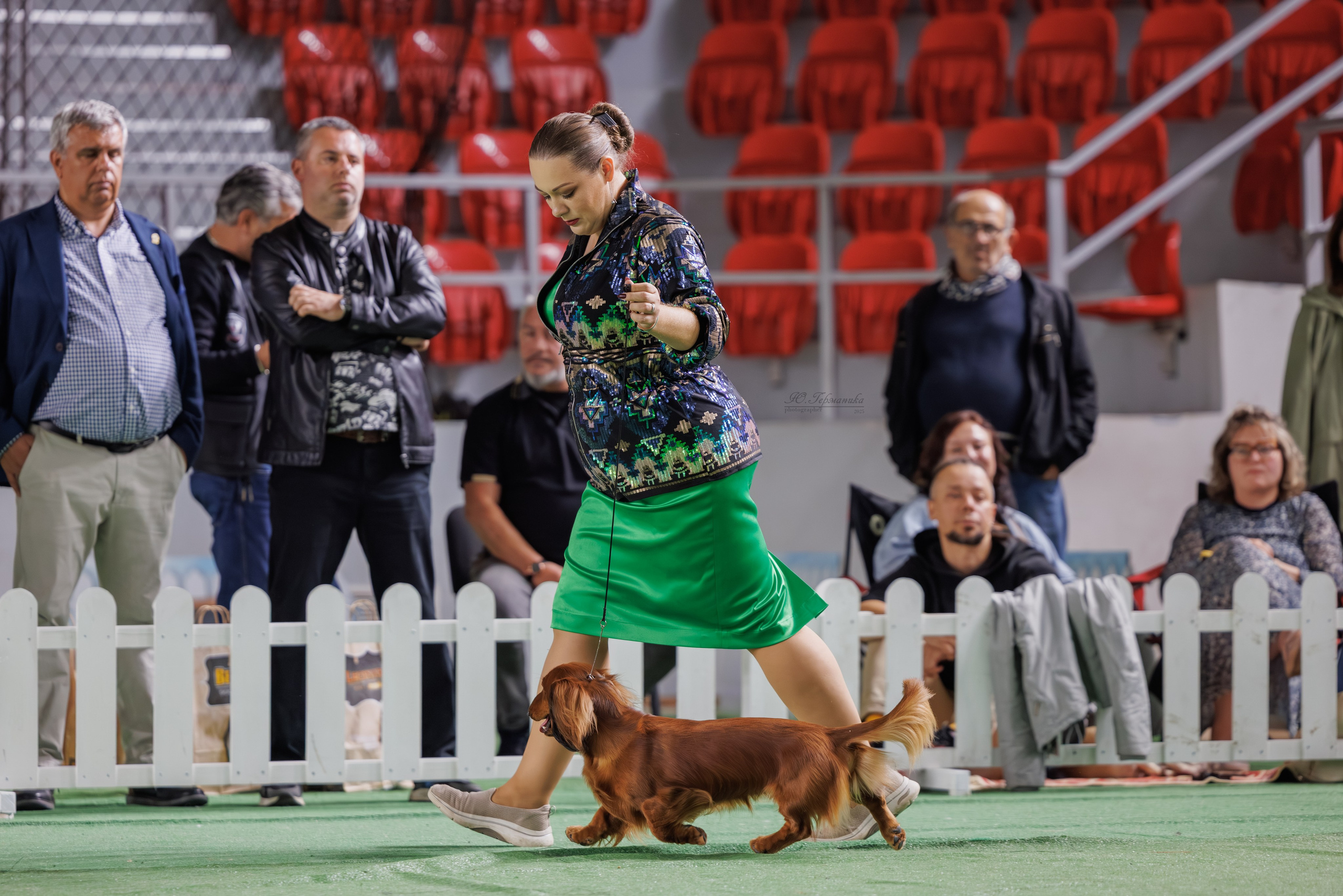 Телави 11-12.10.2025. Фотограф-анималист Юлия Германика