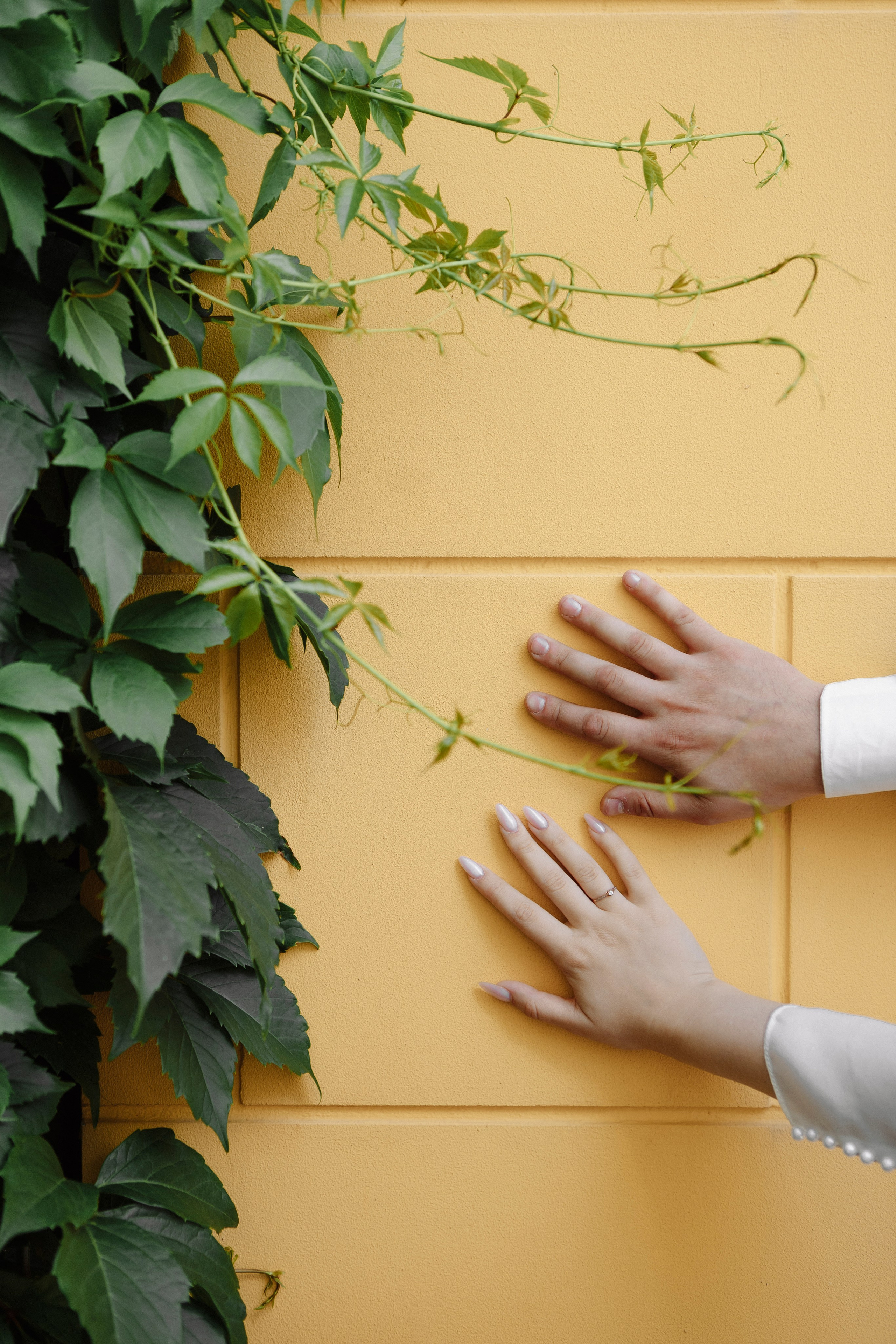 Свадьба Егора и Арины. Фотограф Кольчугино/Владимир/Москва Елизавета Иода