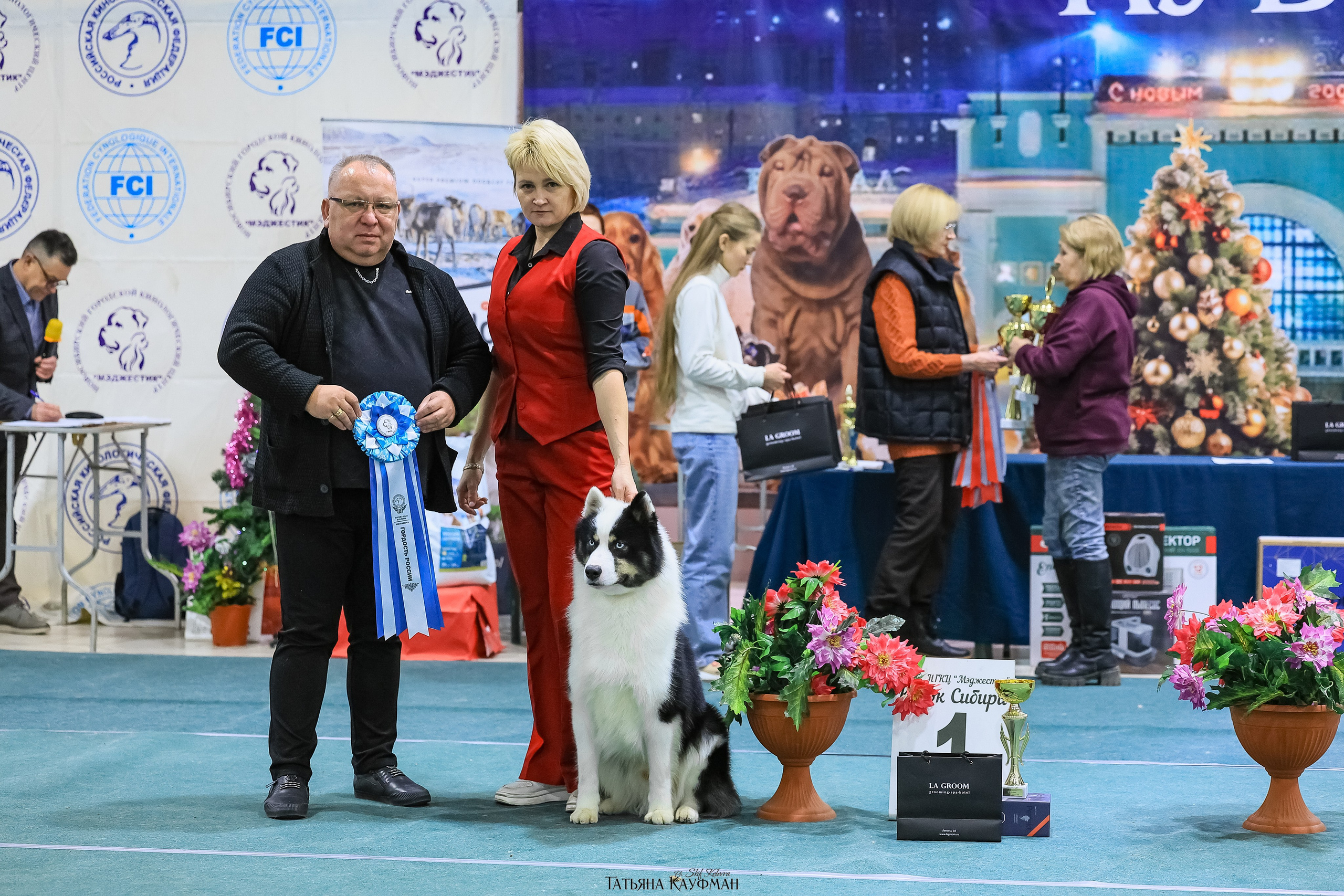 6-7.12.25 — 1-4 Национальные выставки собак в Новосибирске (2х рейтинговые). Фотограф Анималист из Новосибирска Татьяна Кауфман