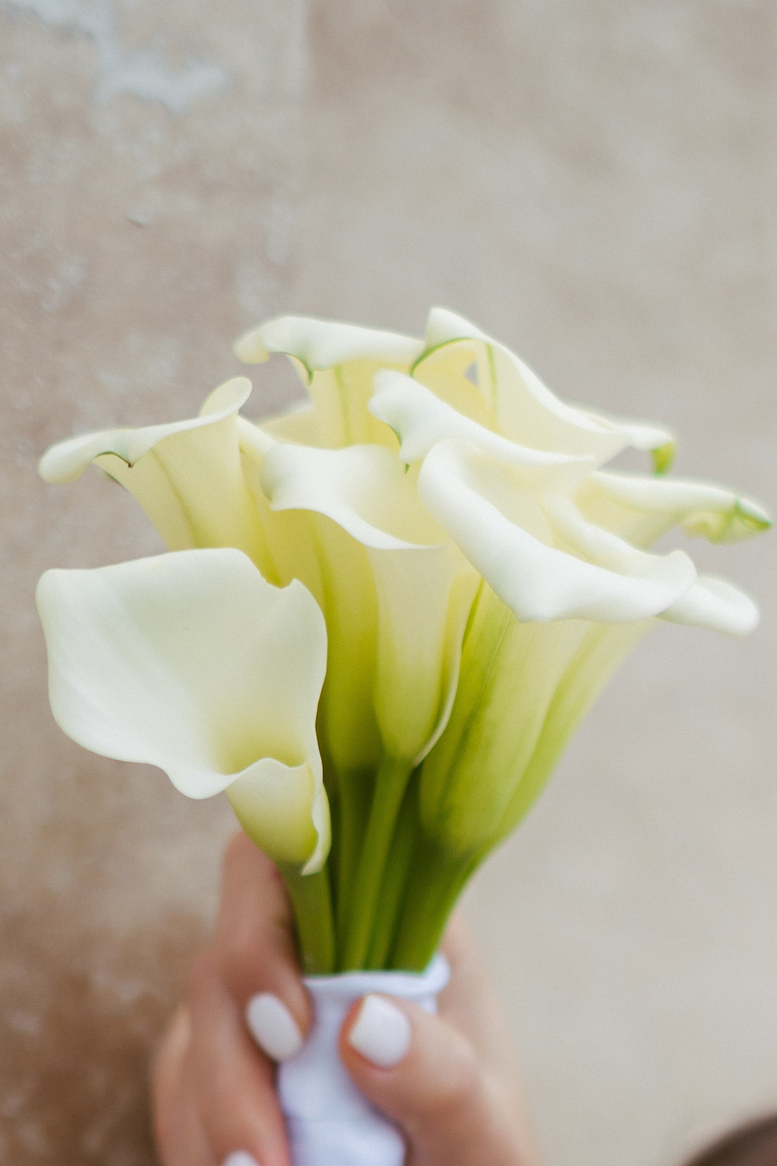 I&M Wedding day. Свадебный, репортажный, семейный фотограф Елена Брюхова