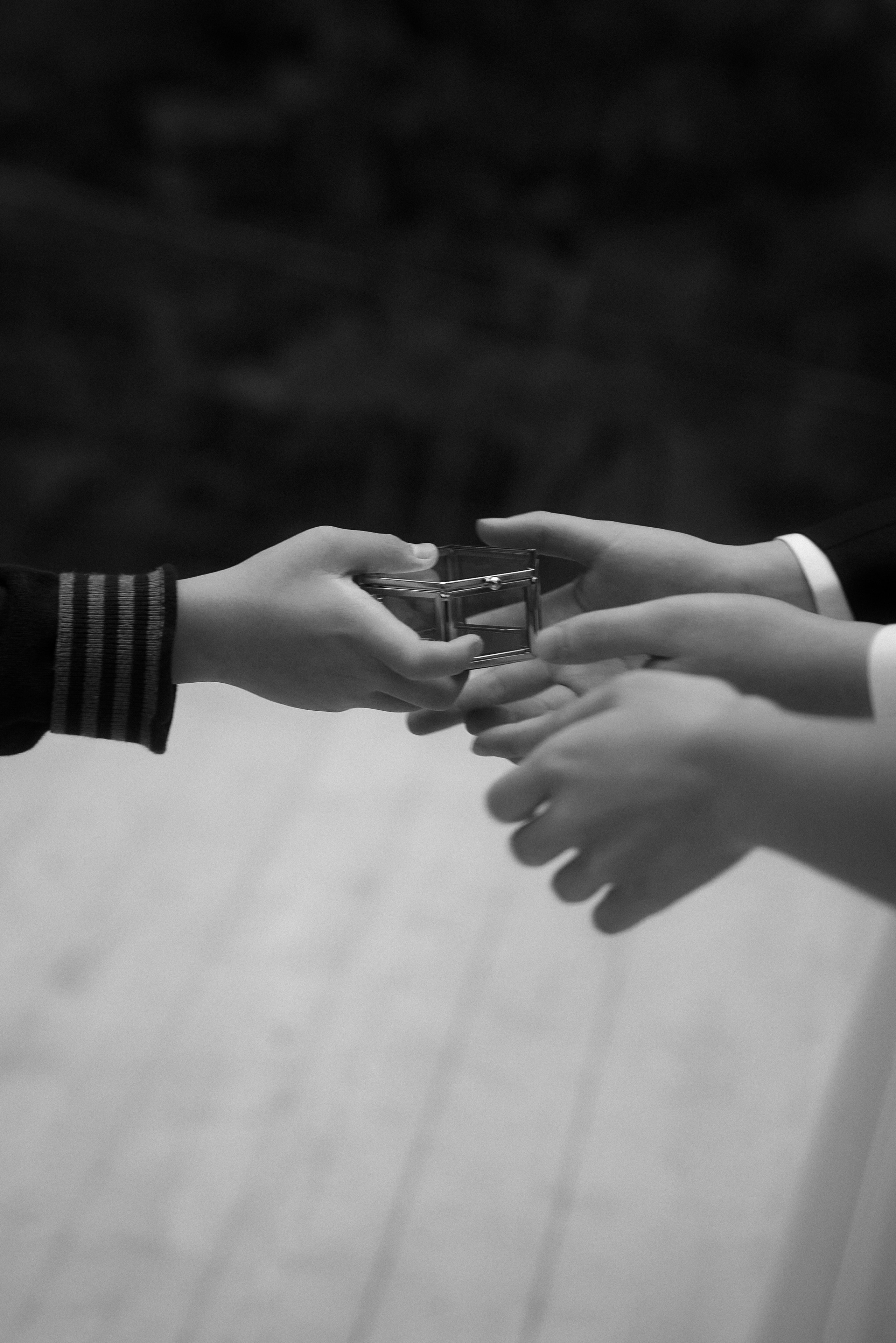 Максим и Анастасия. Свадебный фотограф Светлана Кривчикова