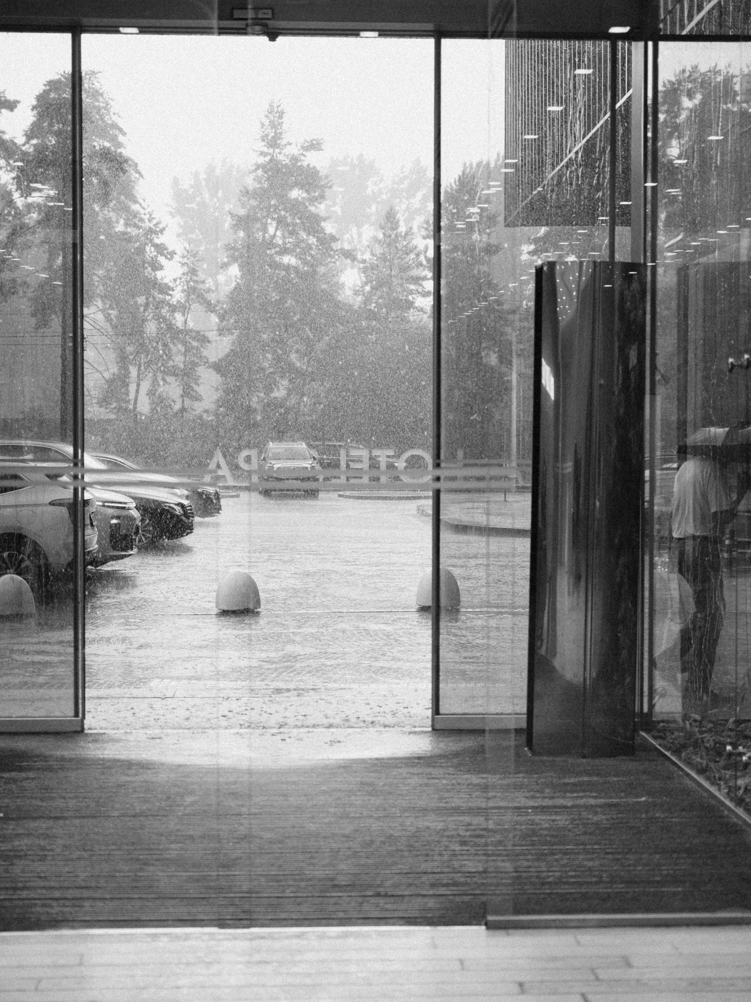 Даша и Ваня. Свадебный фотограф в Москве Лиза Зиньковская