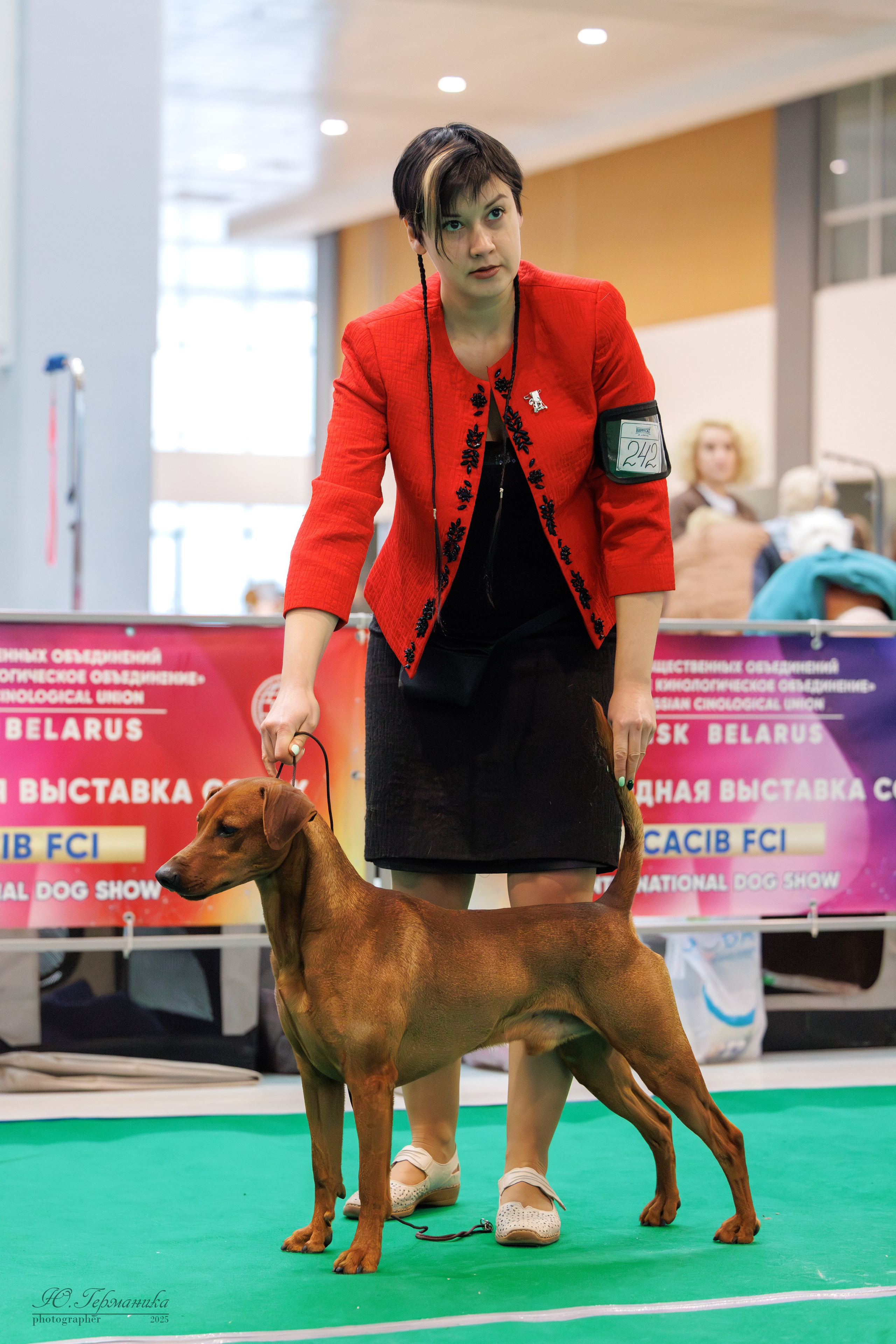 Минск 1-2.03.2025. Фотограф-анималист Юлия Германика