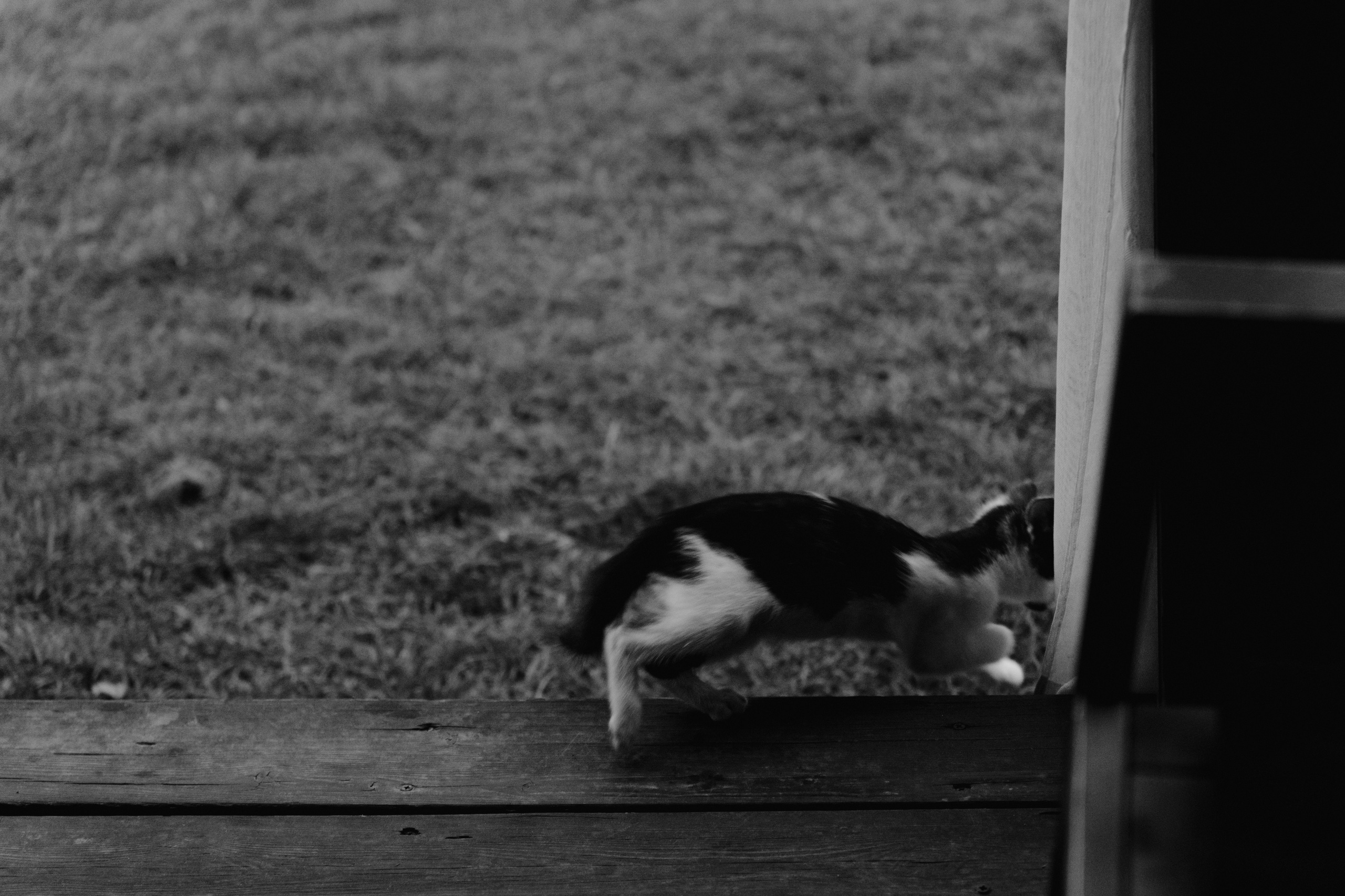 Наталия и Николай. Фотограф Олеся Скворцова