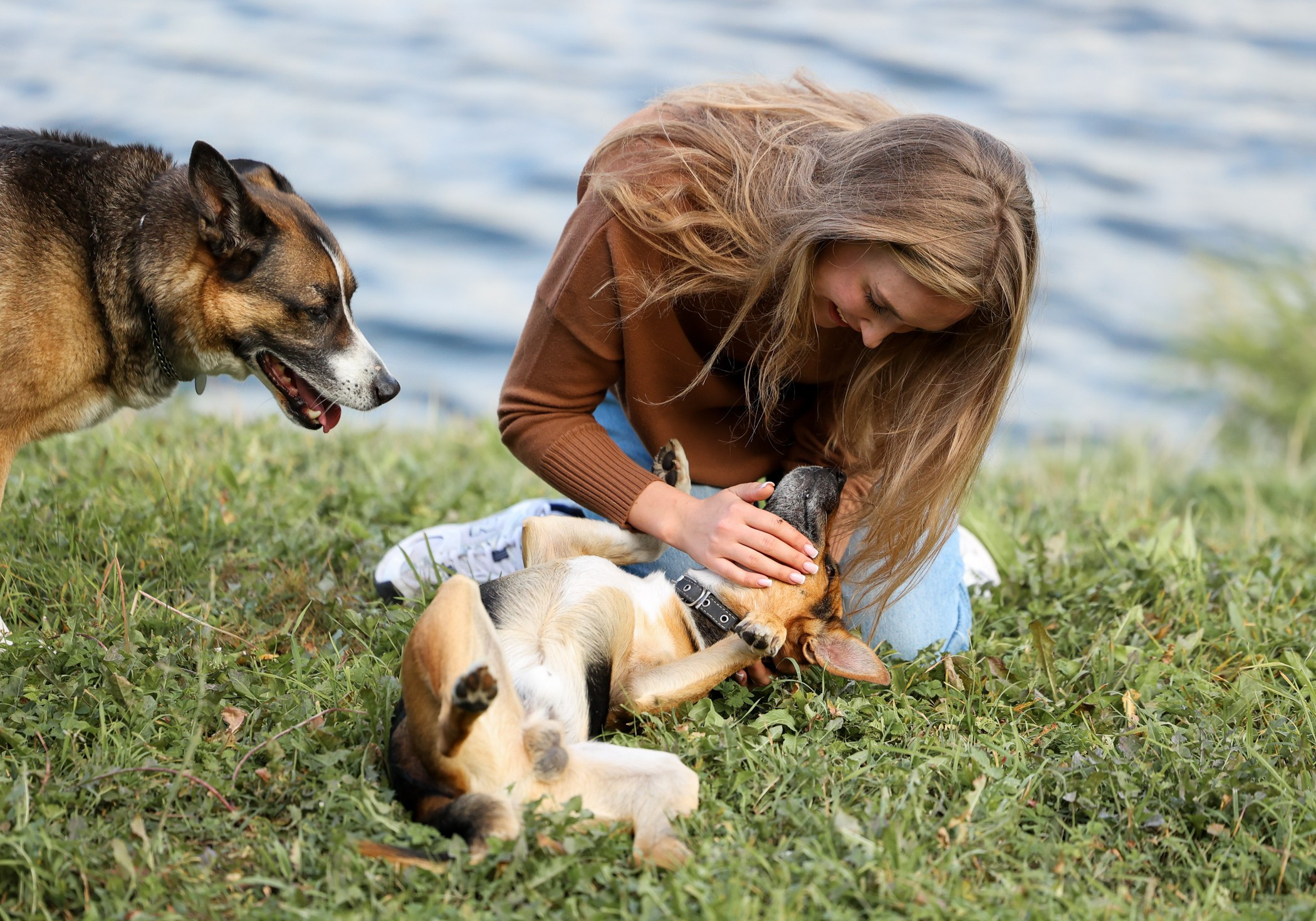 Прогулка на природе. Фотограф-анималист Полина Колкова | Москва