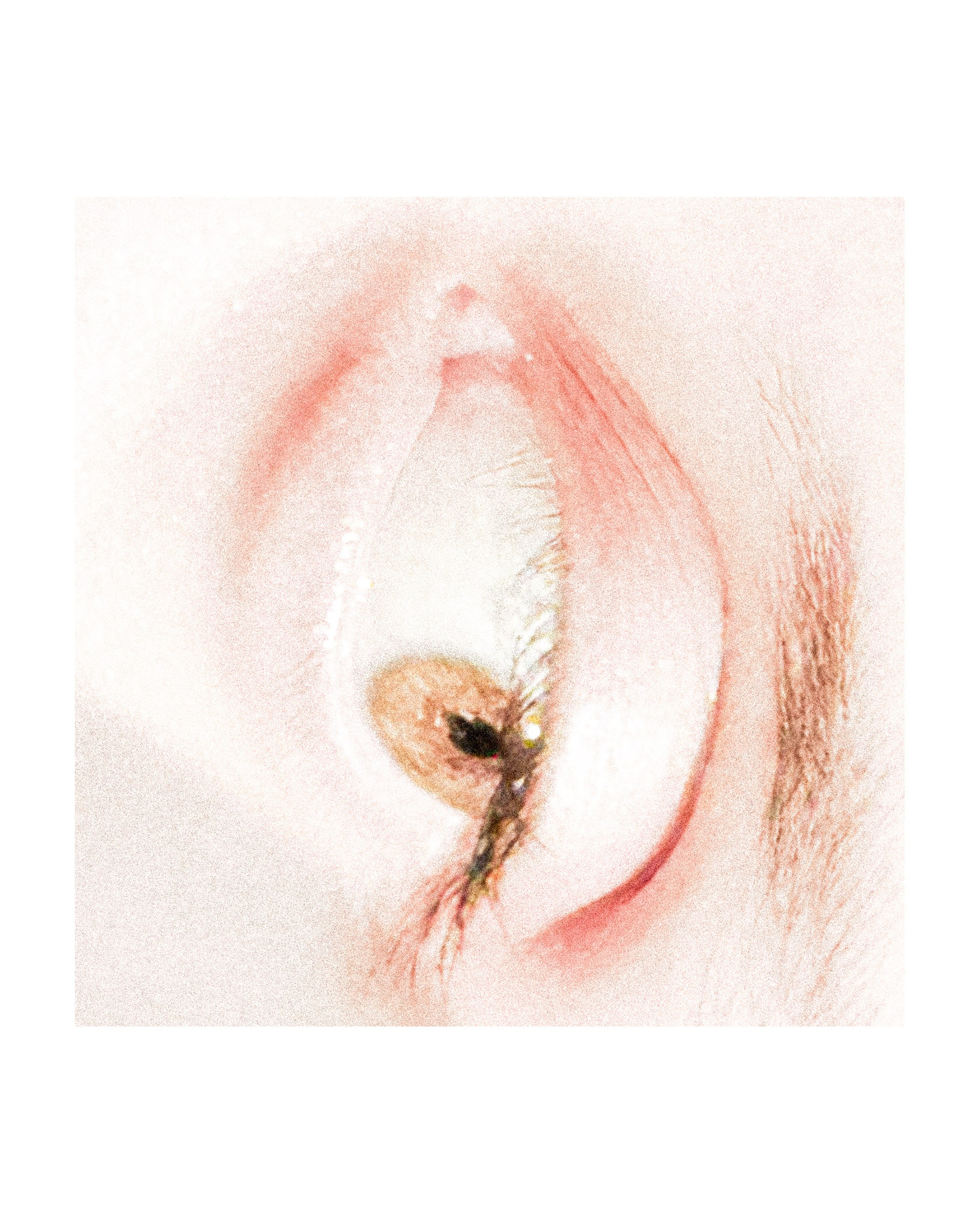 Mobile street art. Портретный фотограф в Москве