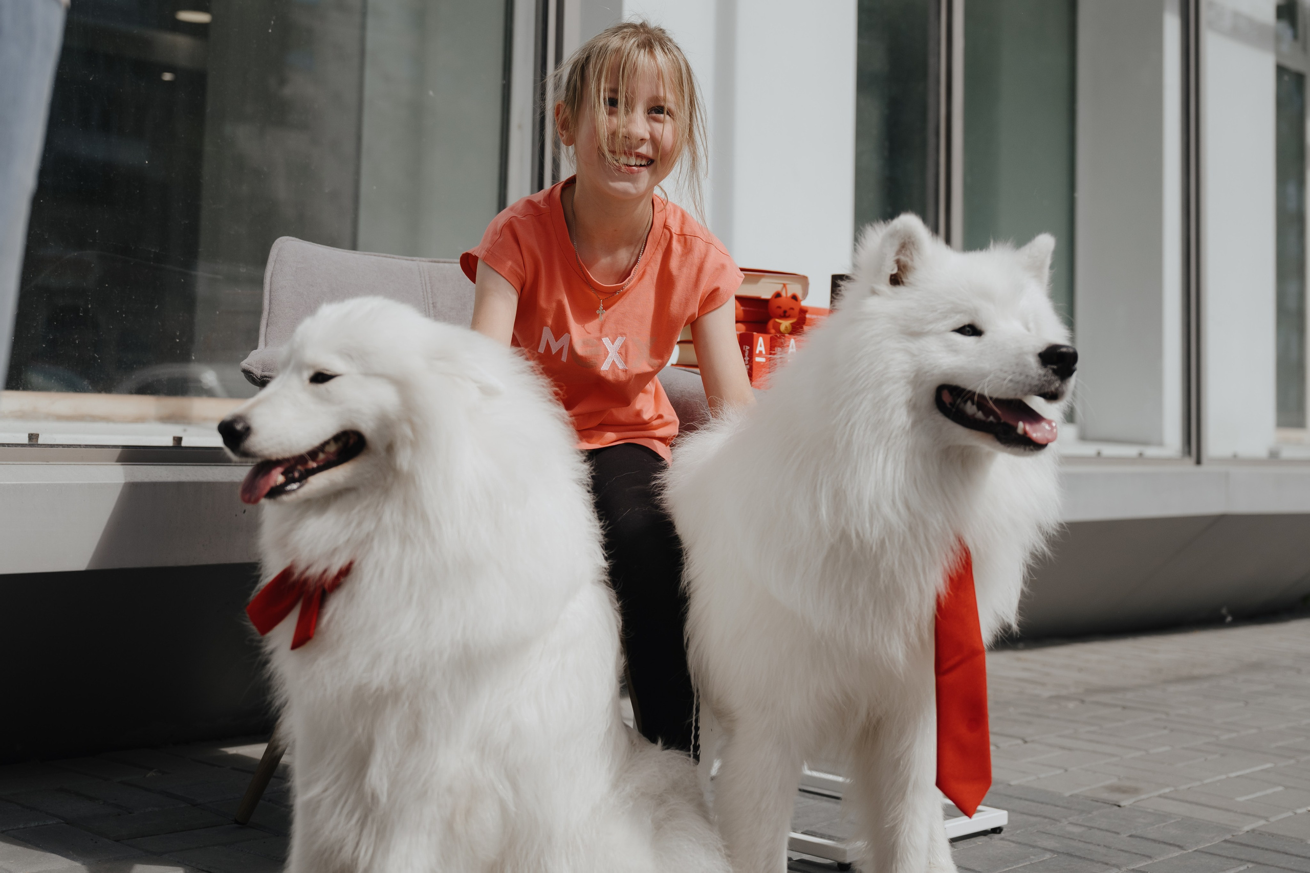 Альфа банк Карла Маркса 55. Фотограф Кристина Тумаева. Самоед Новосибирск