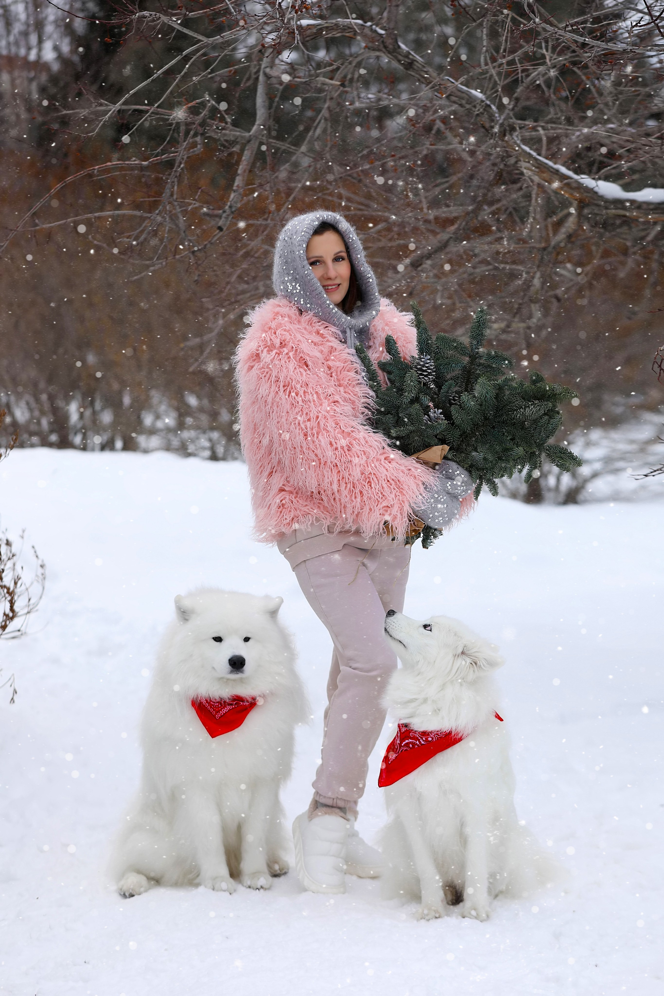 Юлия Квиткина фотограф. Самоед Новосибирск