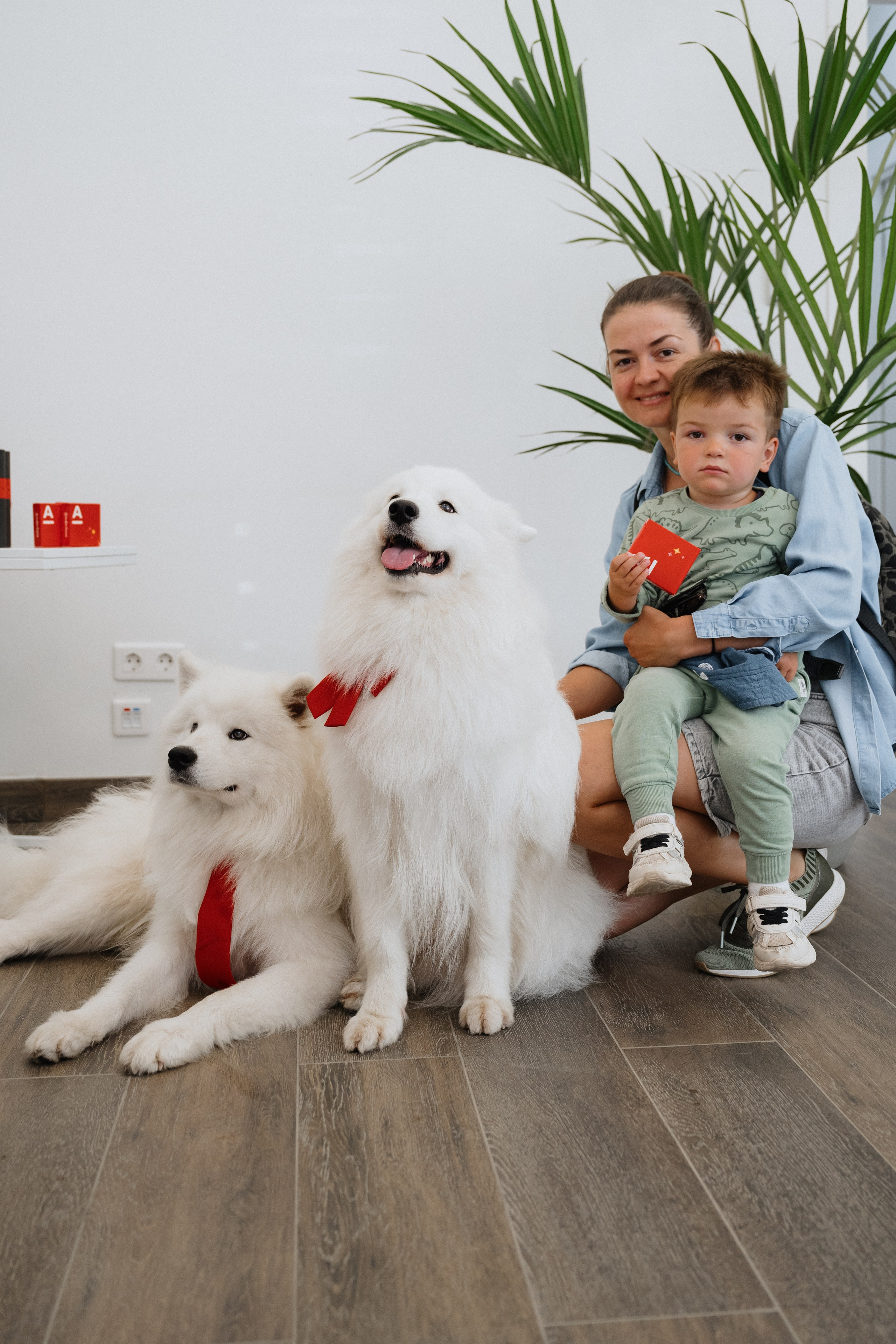 Альфа банк Карла Маркса 55. Фотограф Кристина Тумаева. Самоед Новосибирск