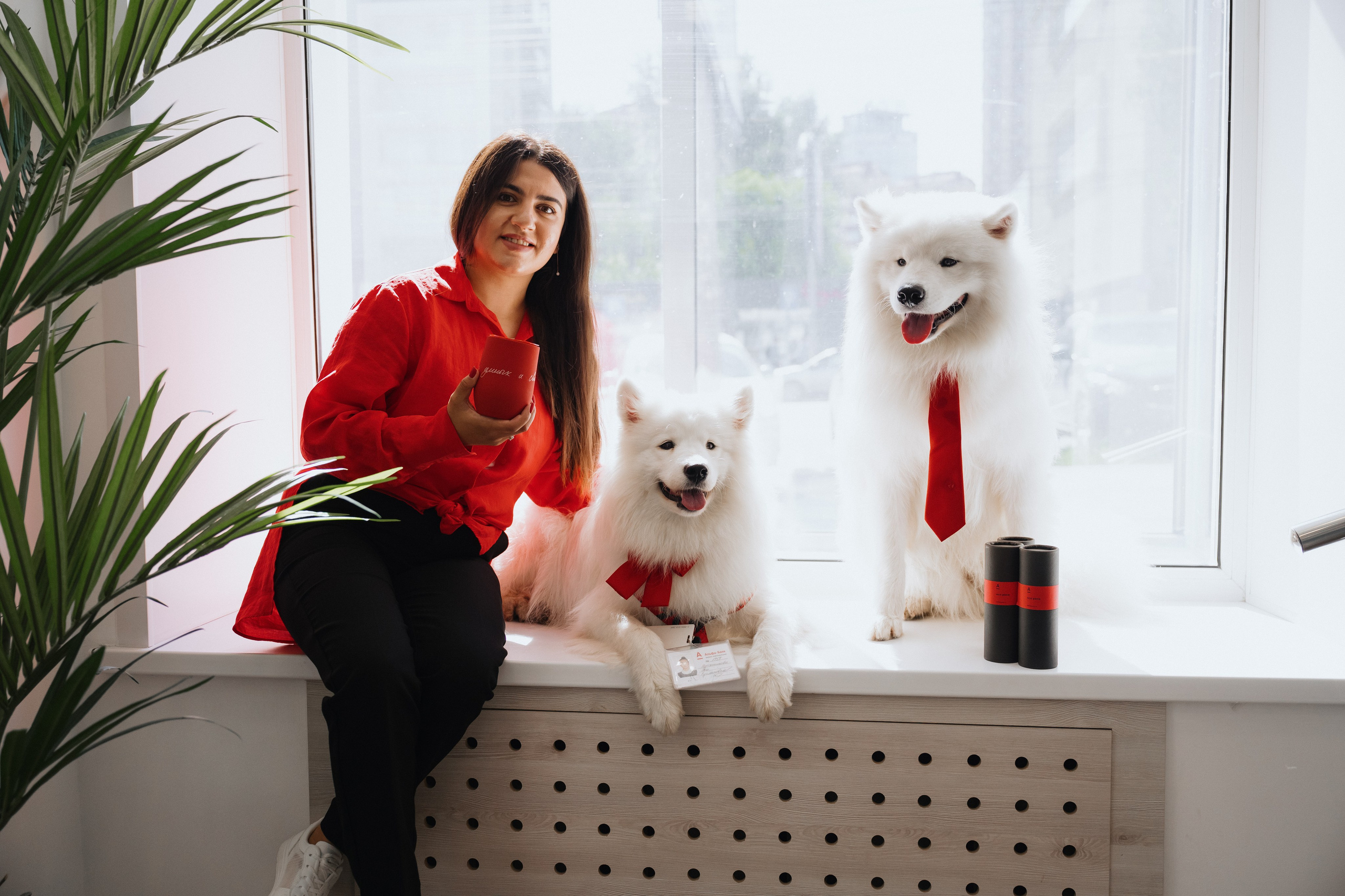 Альфа банк Карла Маркса 55. Фотограф Кристина Тумаева. Самоед Новосибирск