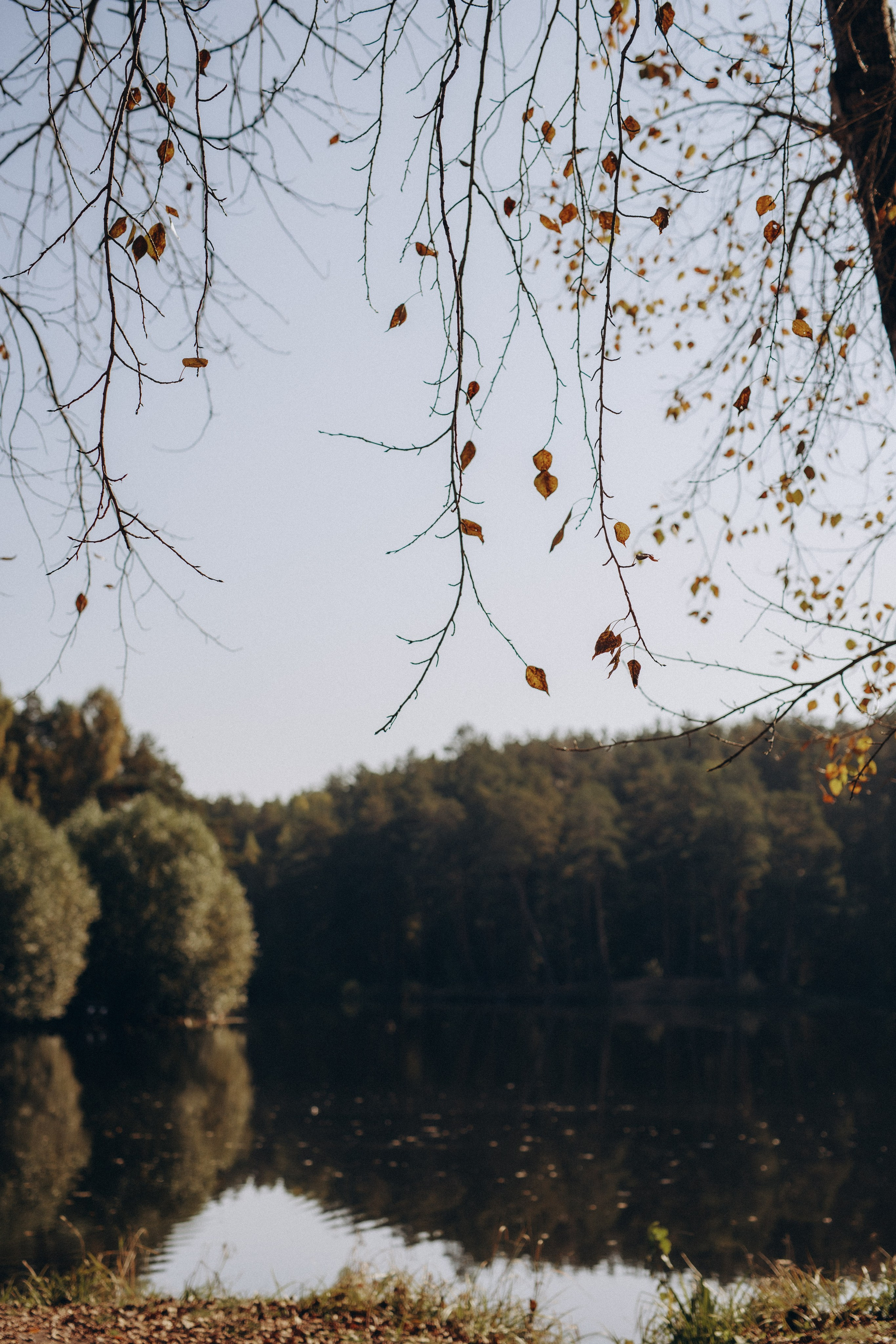 Елена и семья. Фотограф Анастасия Петрова