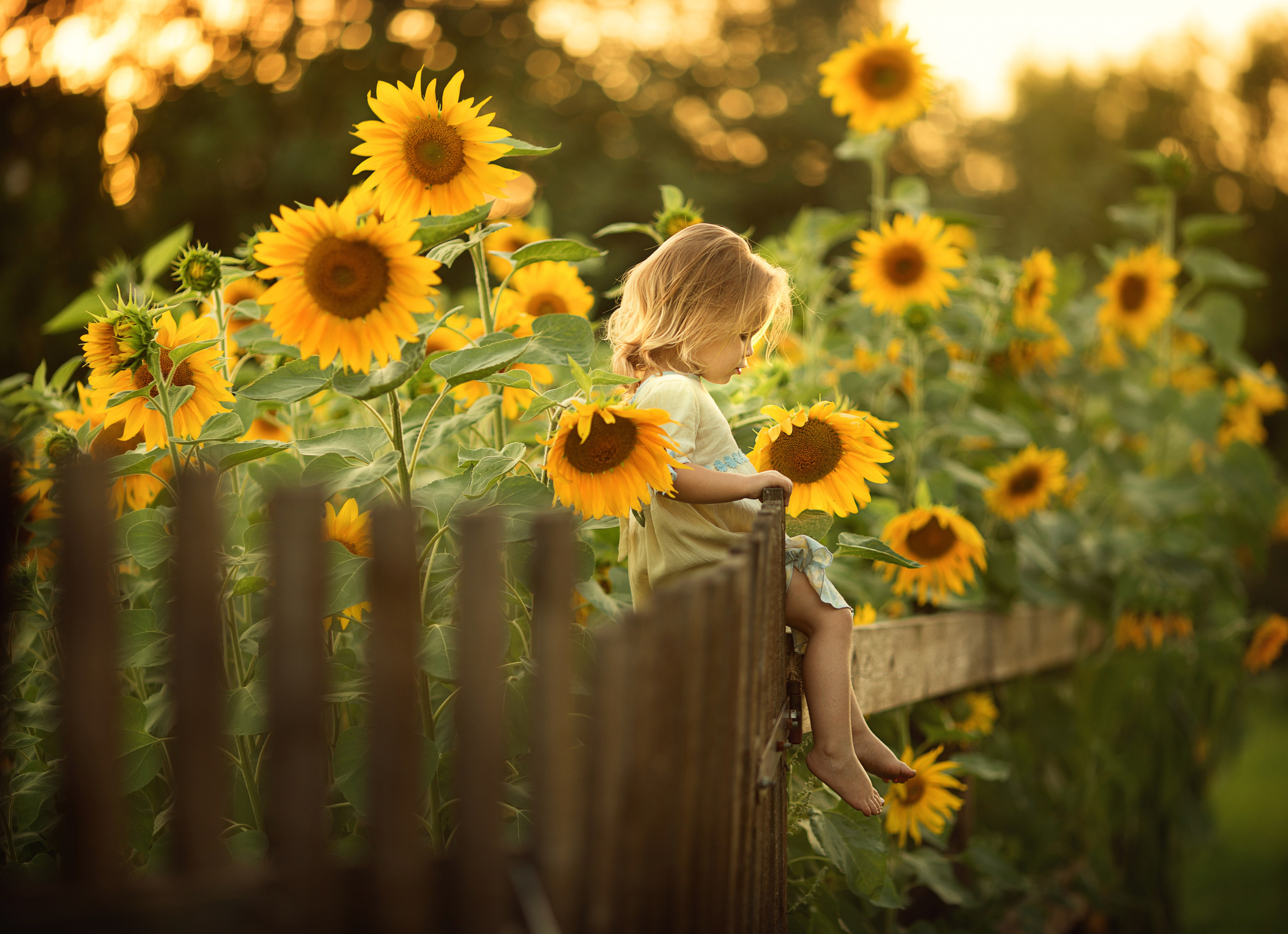 Портфолио. Карнеева Елена. Детский, семейный фотограф