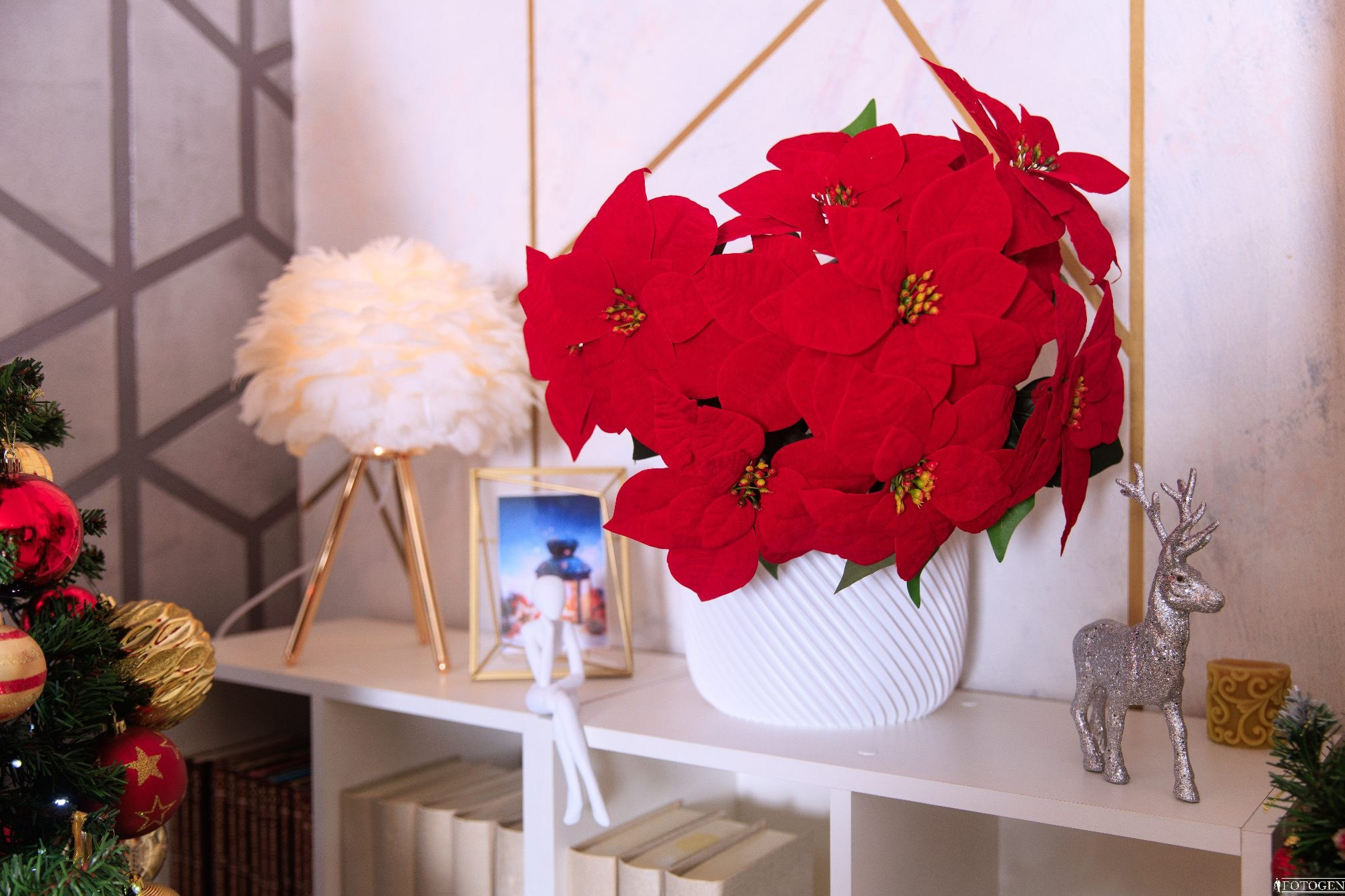 Интерьерные локации FOTOGEN: 7 уникальных фотозон для вашей фотосессии. Интерьерная фотостудия FOTOGEN г. Краснодар