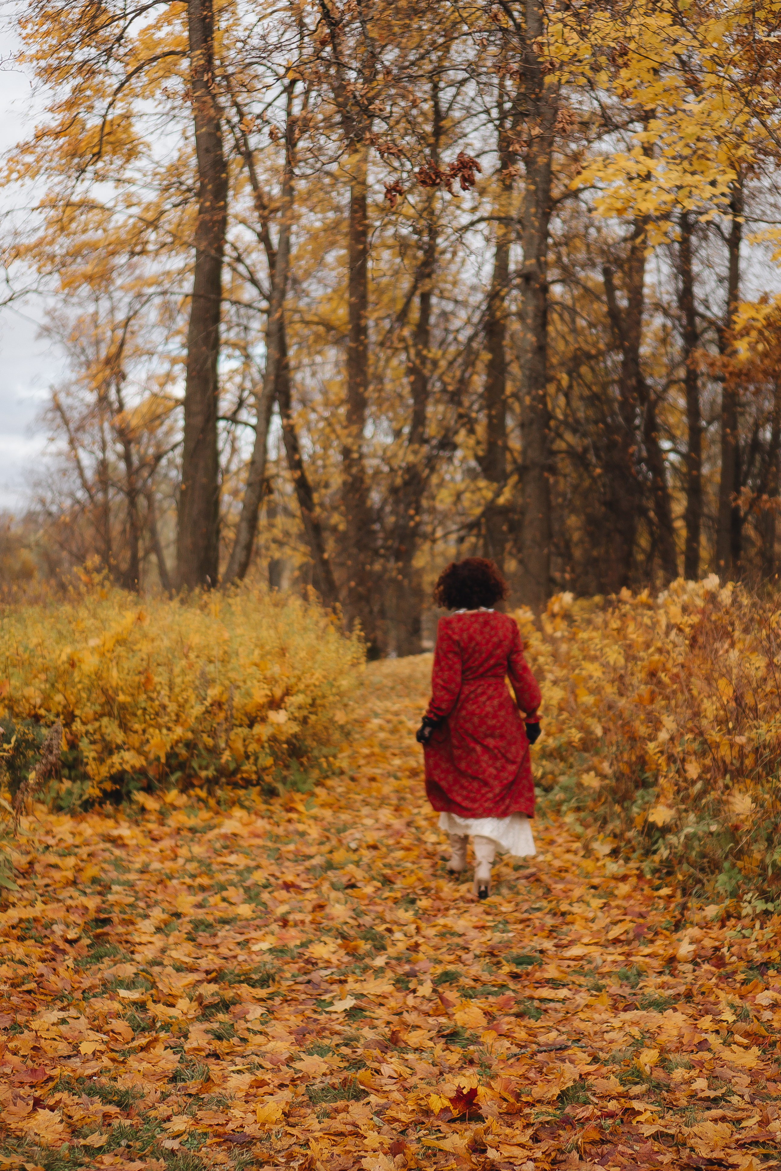 Осенний парк. Профессиональный фотограф, Санкт-Петербург — Виктория Богомолова