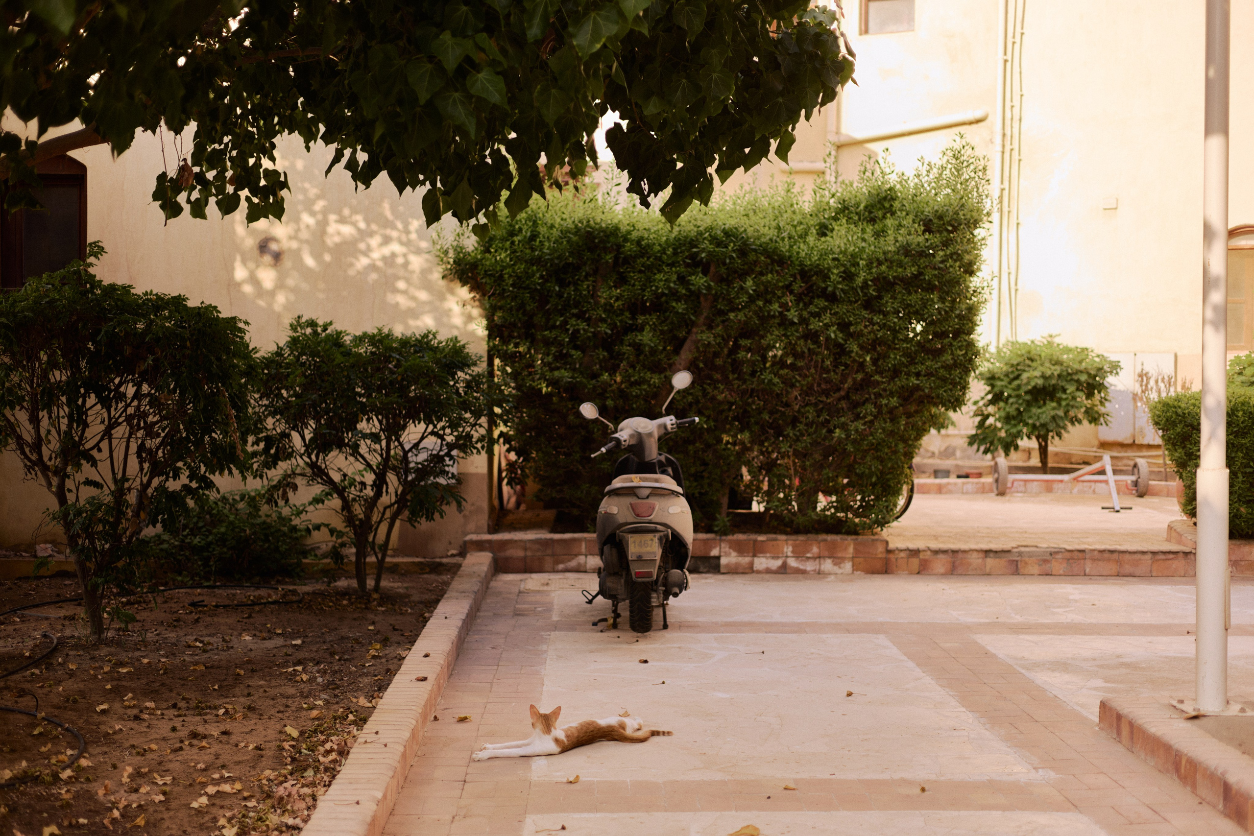 Улица горизонтальная. Jorgis — фотограф в Хургаде / обучение фотографии