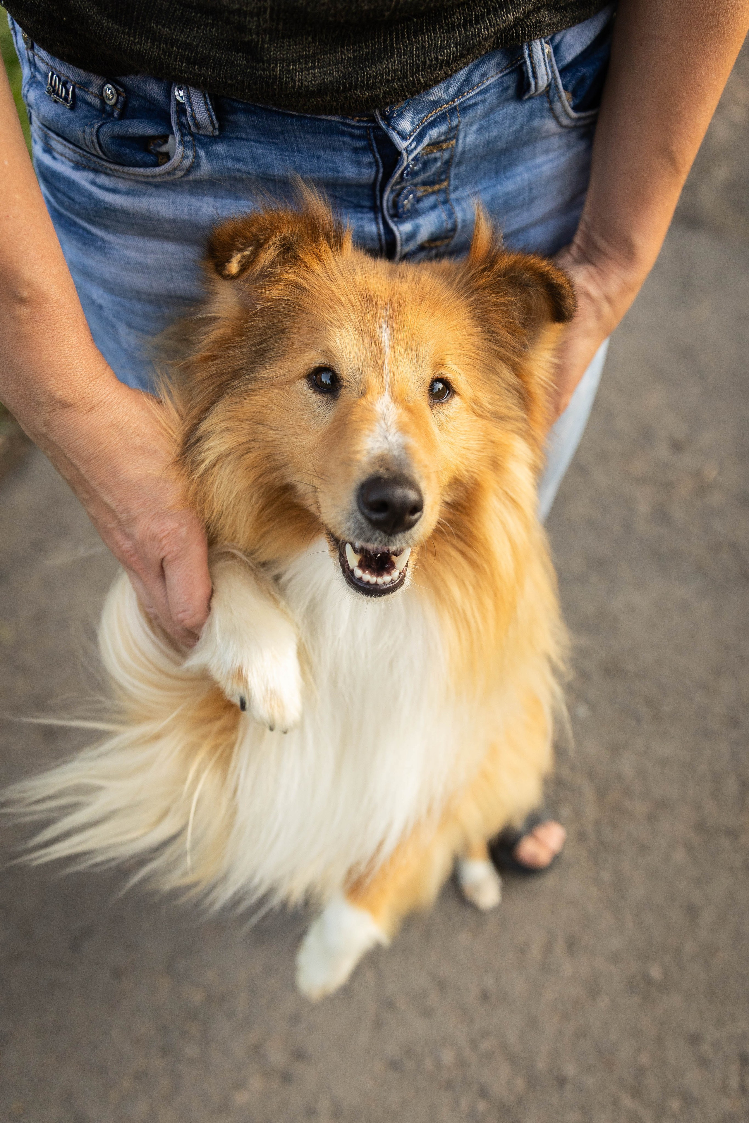 Сара и Лена. Фотограф-АниМалист Анна Абрамова