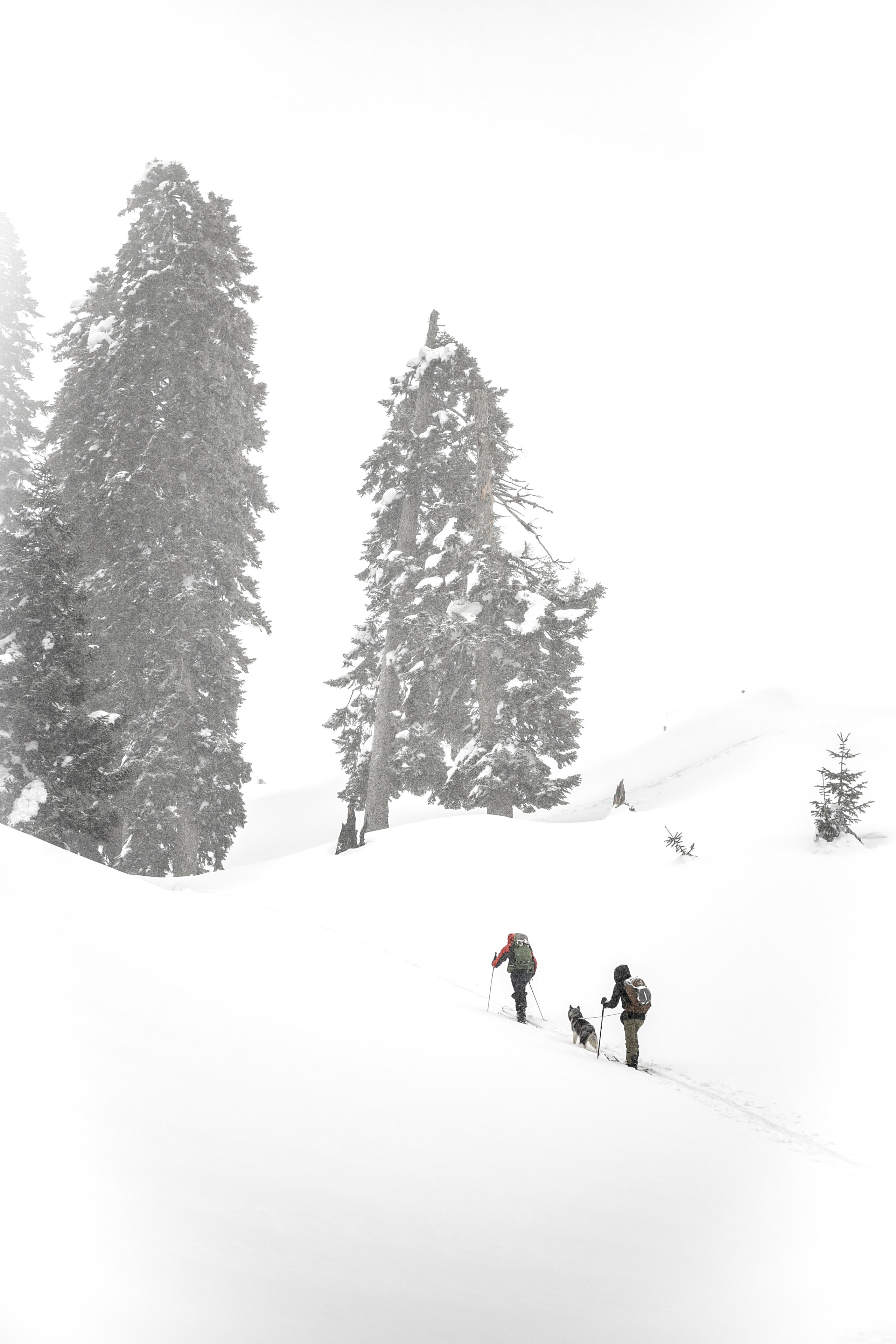 Skitouring. Anastasia Serdyuk, travel photographer, travel photo, portraits, stories, fineart prints