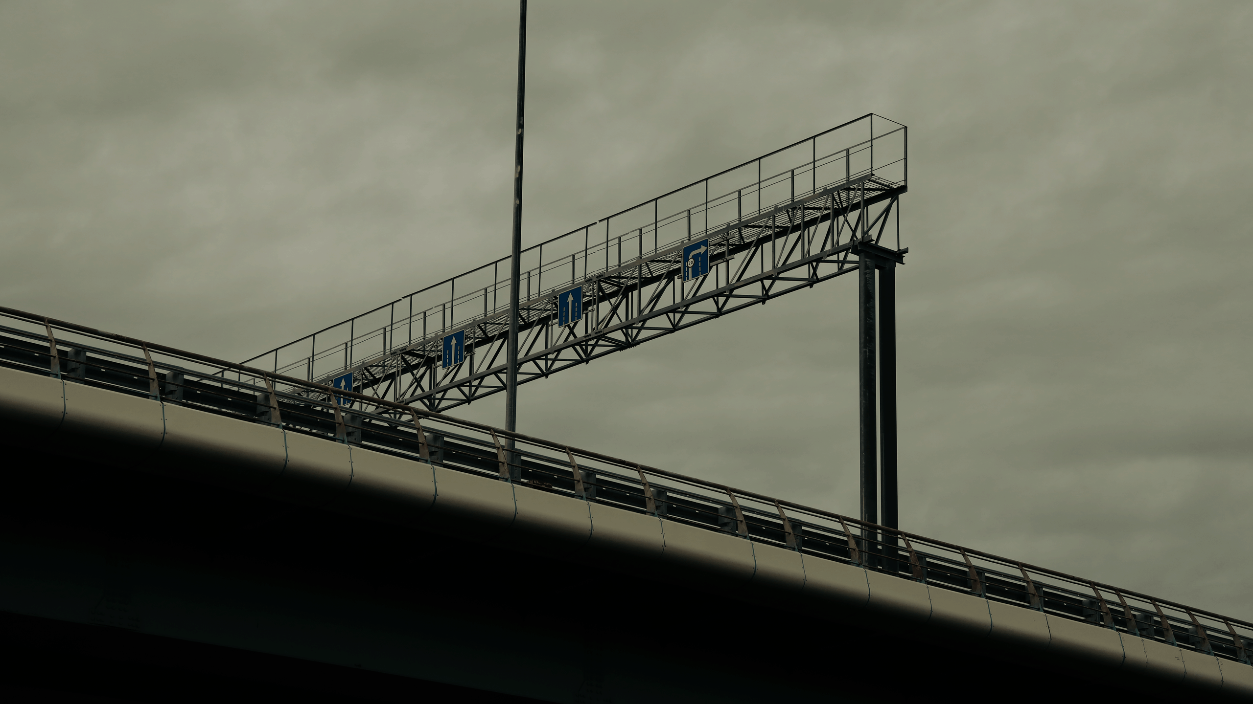 TMN autumn '24. Фотограф/дизайнер в Екатеринбурге Хитрый Дмитрий