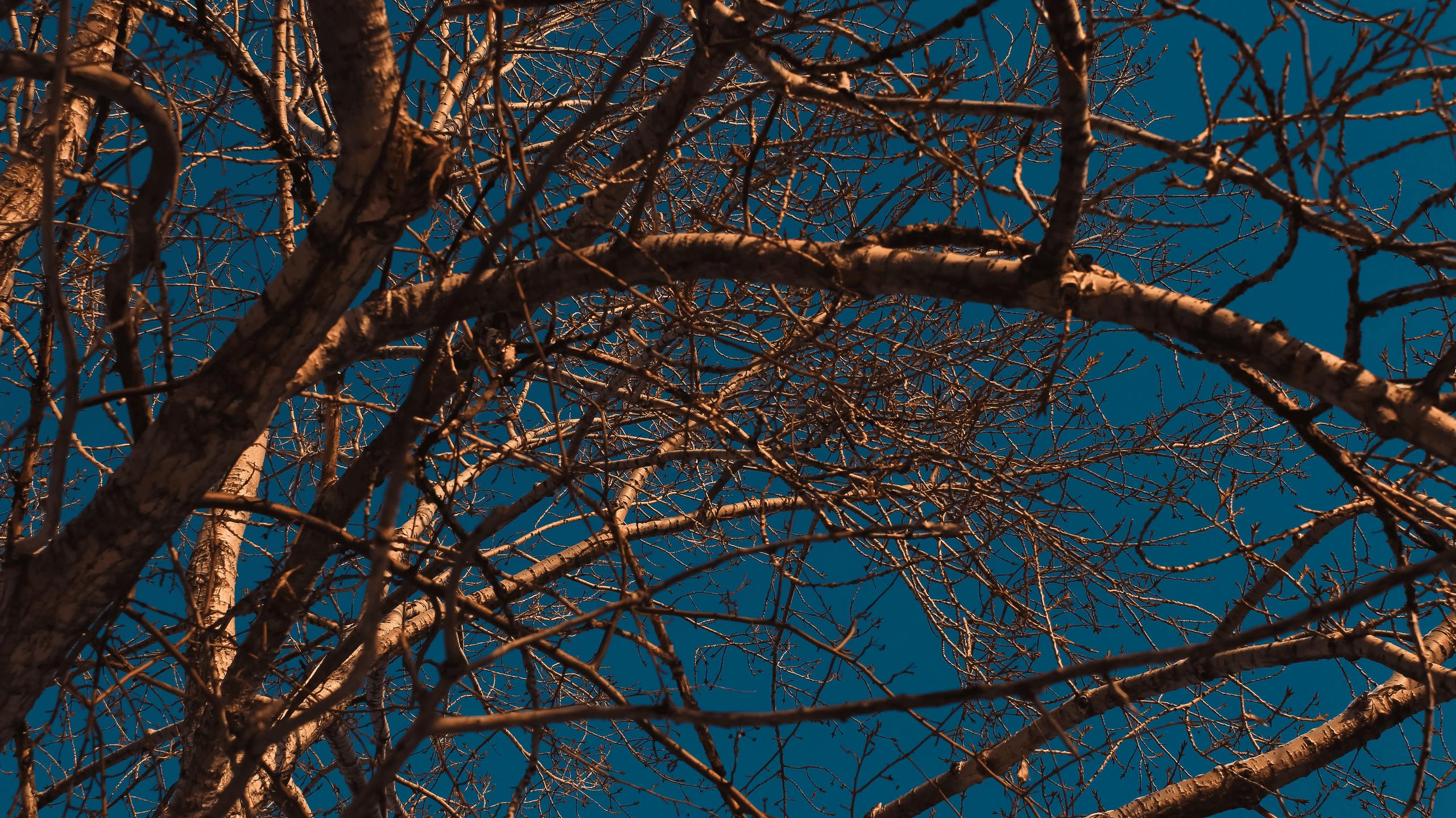 TMN winter '25 (color). Фотограф/дизайнер в Екатеринбурге Хитрый Дмитрий