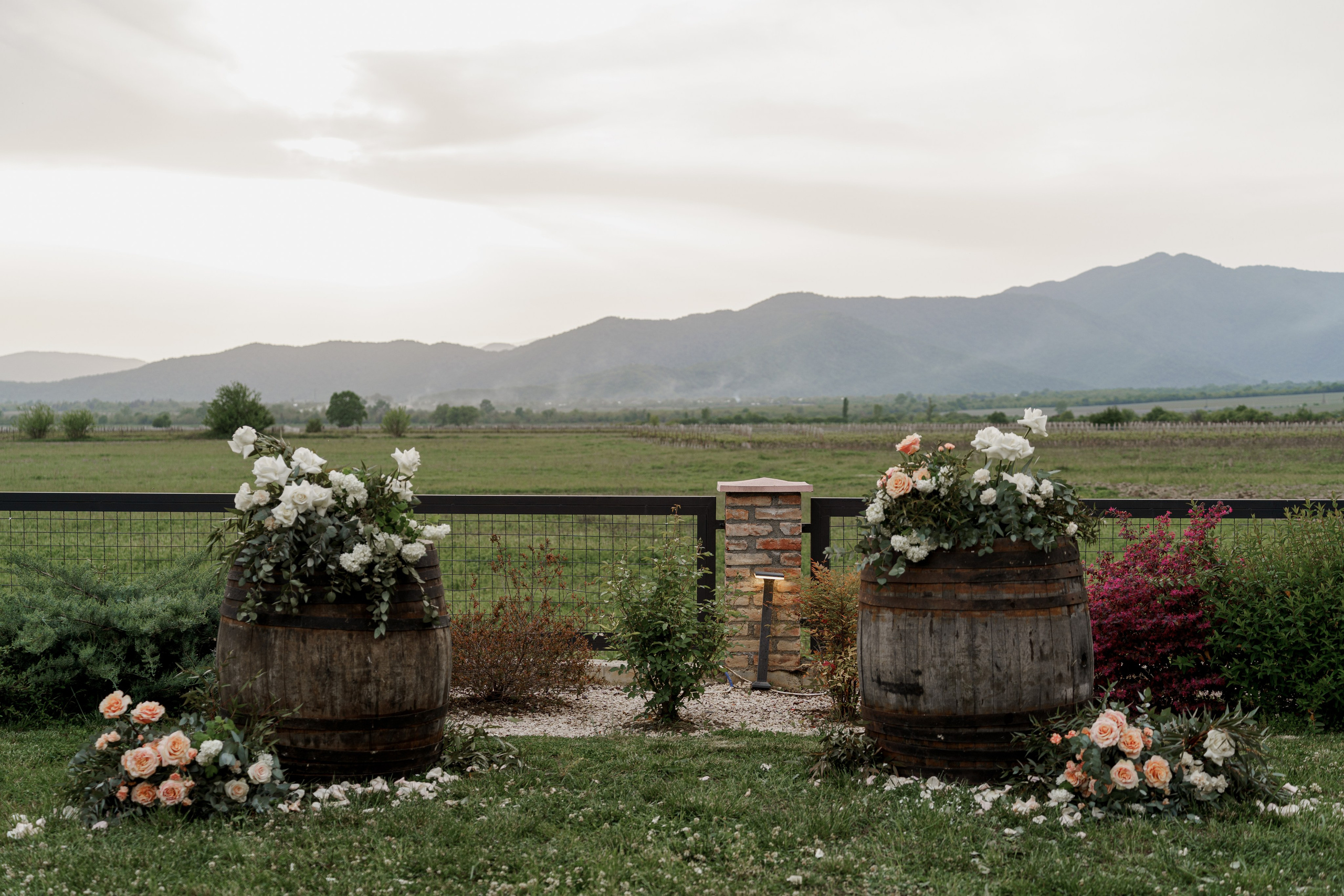 Кахетия: Семён и Лейла. Свадебный и индивидуальный фотограф Татьяна Гуляева