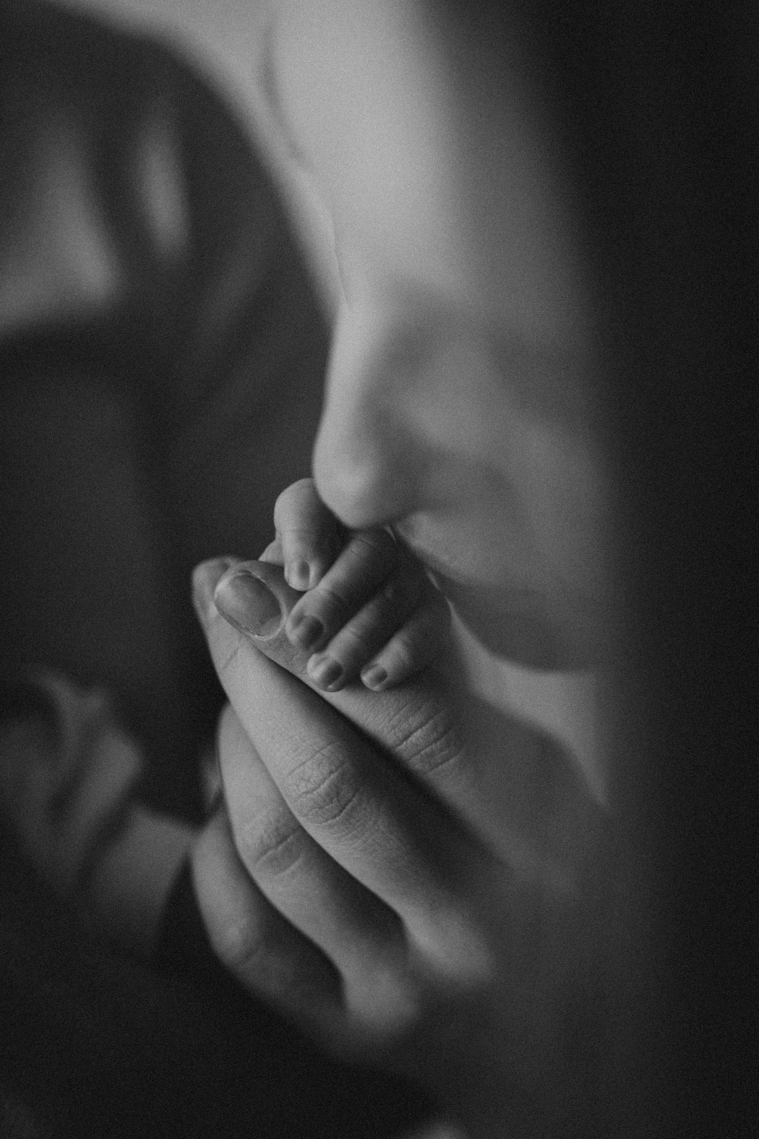 Рита, Коля и Василиса. Семейный фотограф и фотограф на роды в Ростове-на-Дону Мухина Виктория