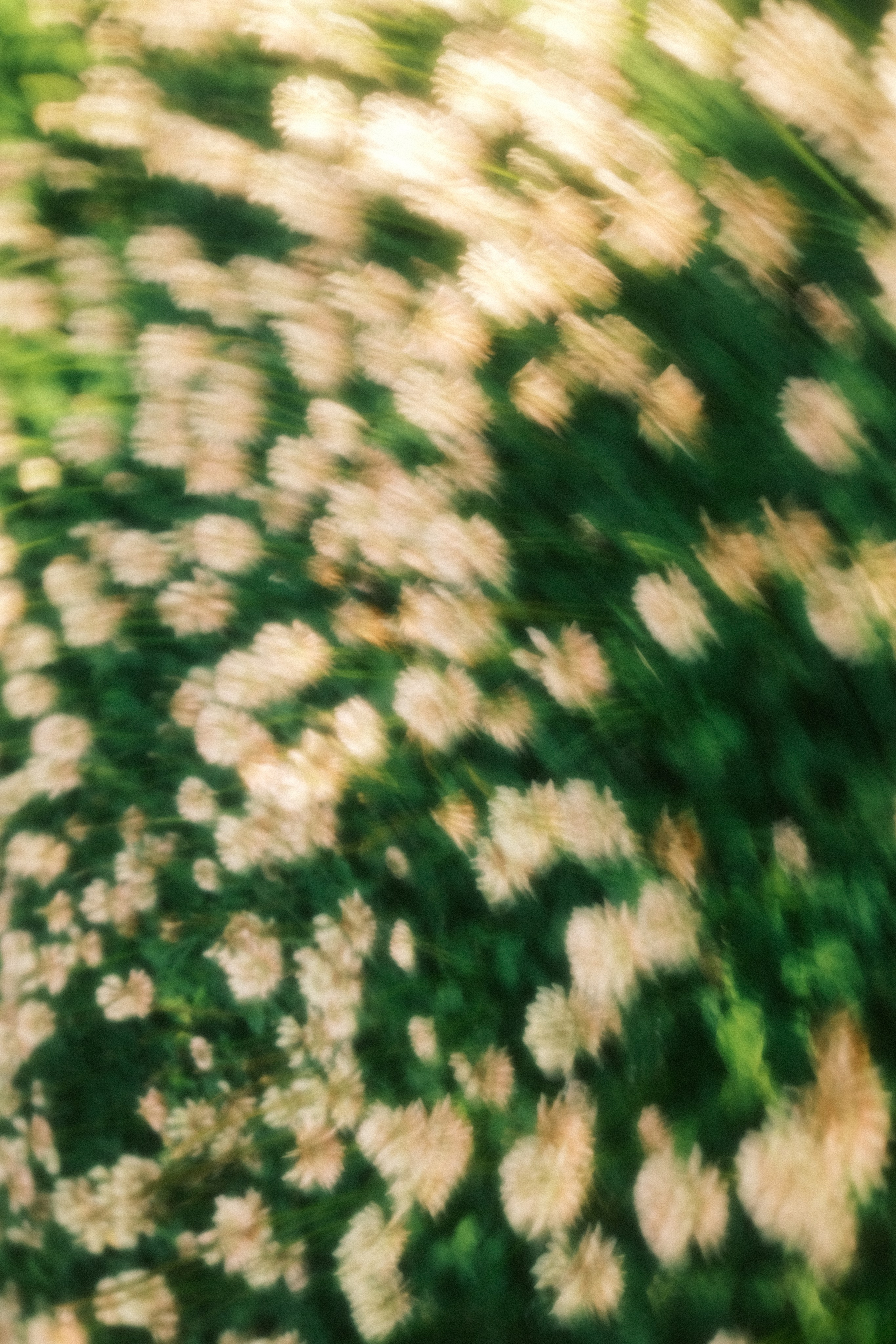 Невесомость. Портретный фотограф