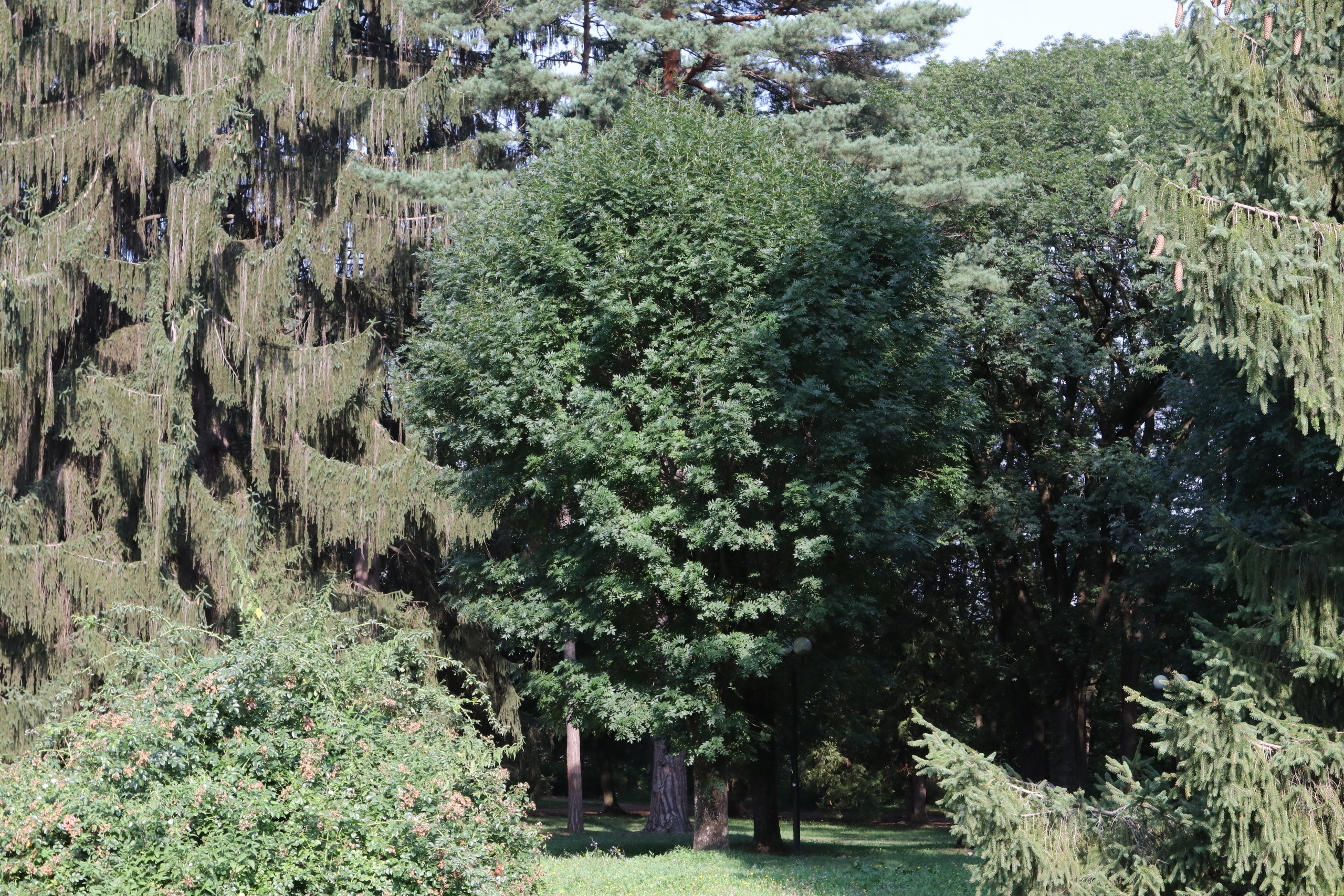 Кисловодские пейзажи. Фото-художник и Репортажный фотограф Николаев Александр Алексеевич