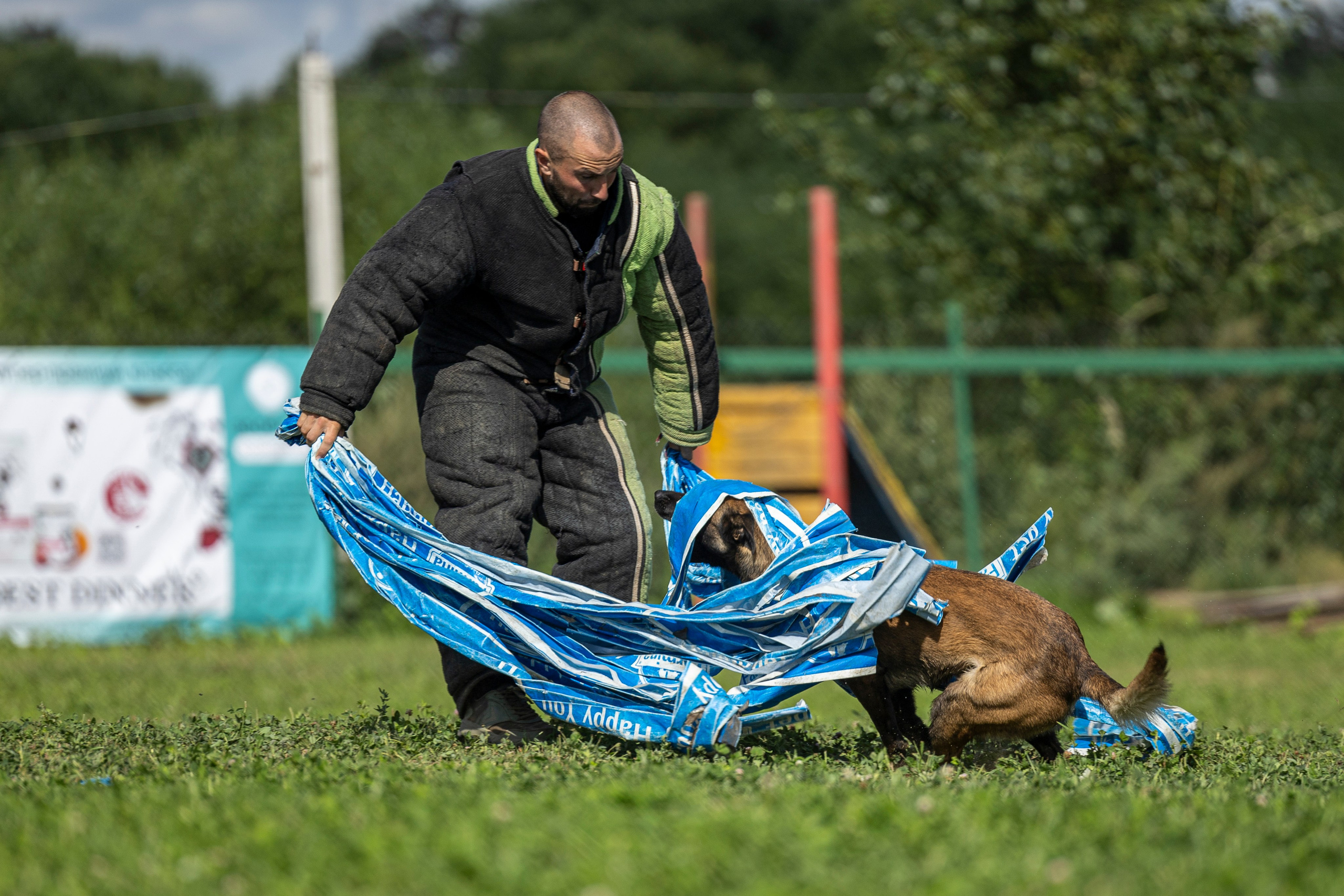 Соревнования по Мондьорингу г. Вологда 10-11.08.2024. Фотограф-анималист Анна Маринич