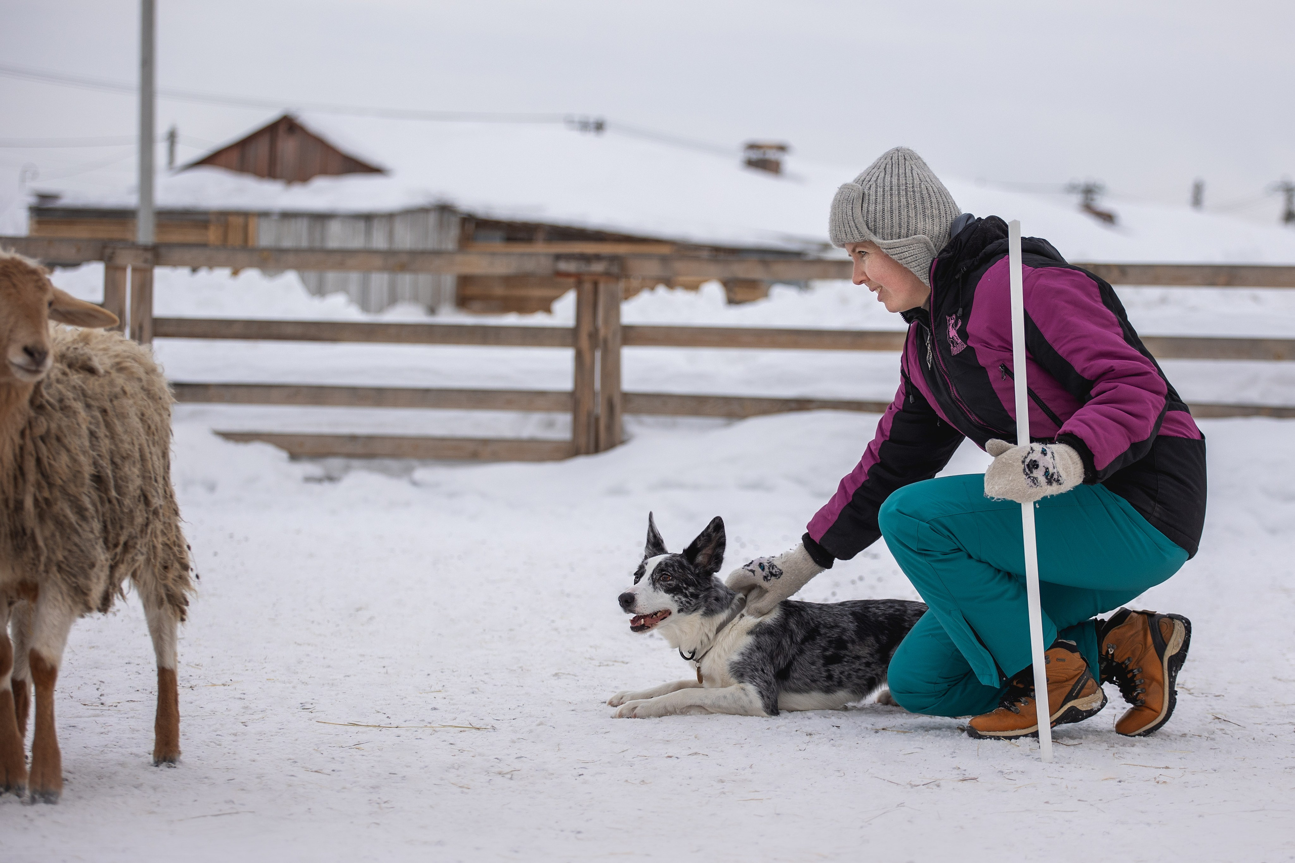 Инна и Тэмпи. YULA KOLESOVA | Фотограф — Анималист | Художник | Тюмень