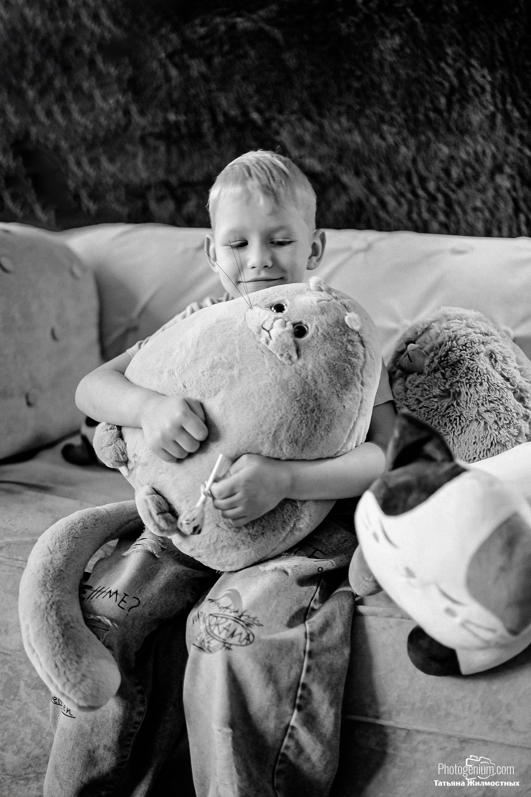 Студийная съемка Котики. Фотограф Нижний Новгород Татьяна Кэйод