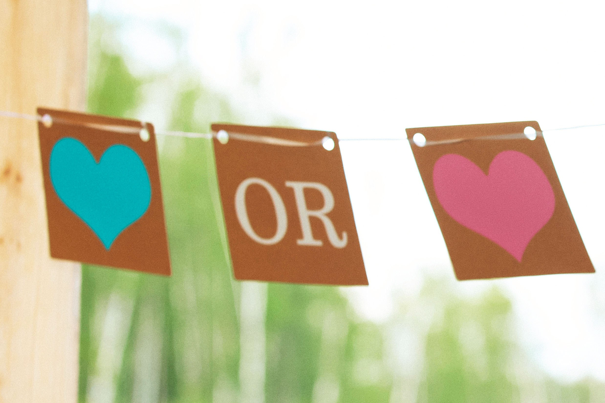 BOY or GIRL ❣ Gender Party. Фотограф в Москве Яна Полосина