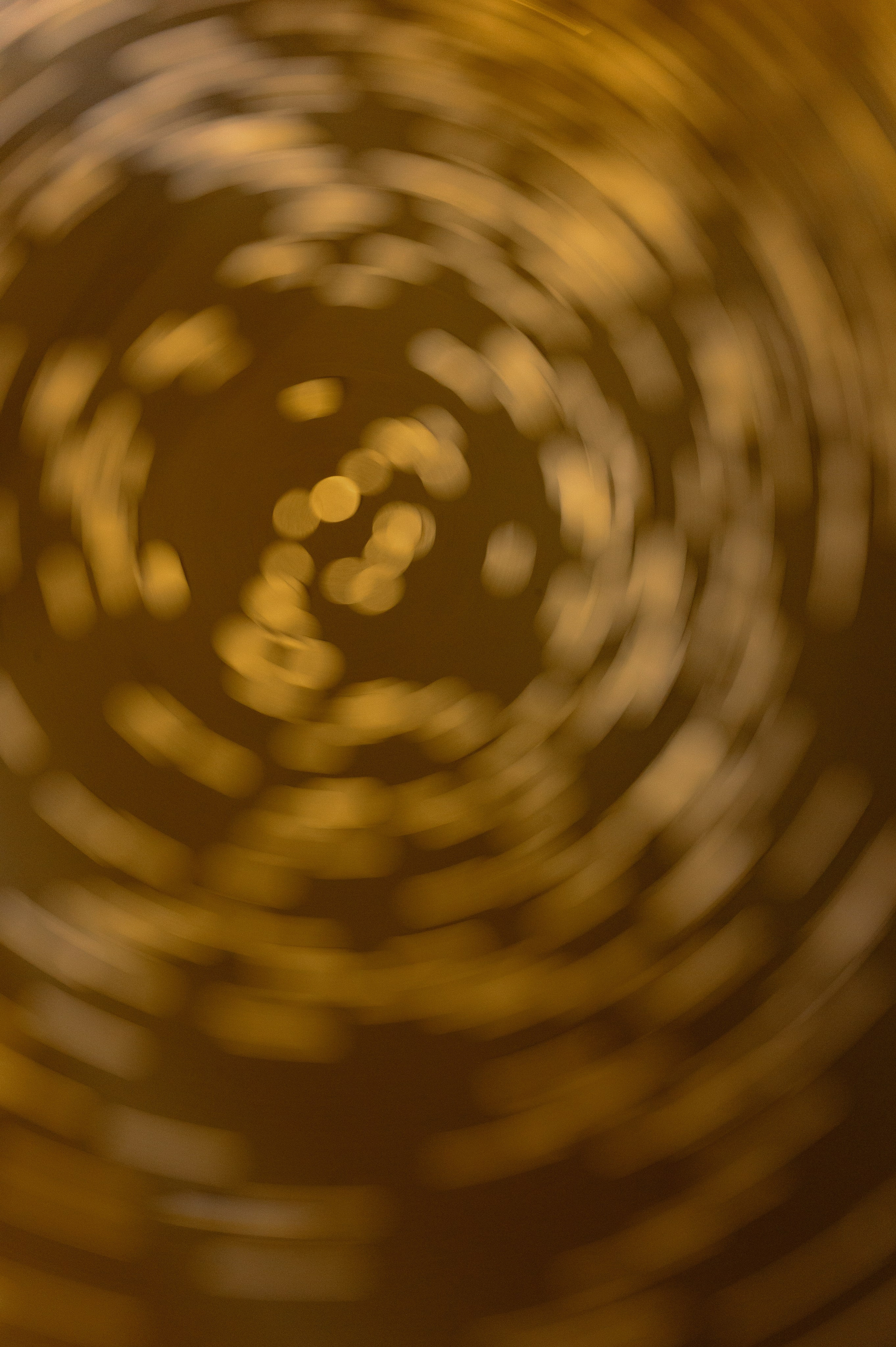 Алексей и Анастасия. Свадебный фотограф и видеограф