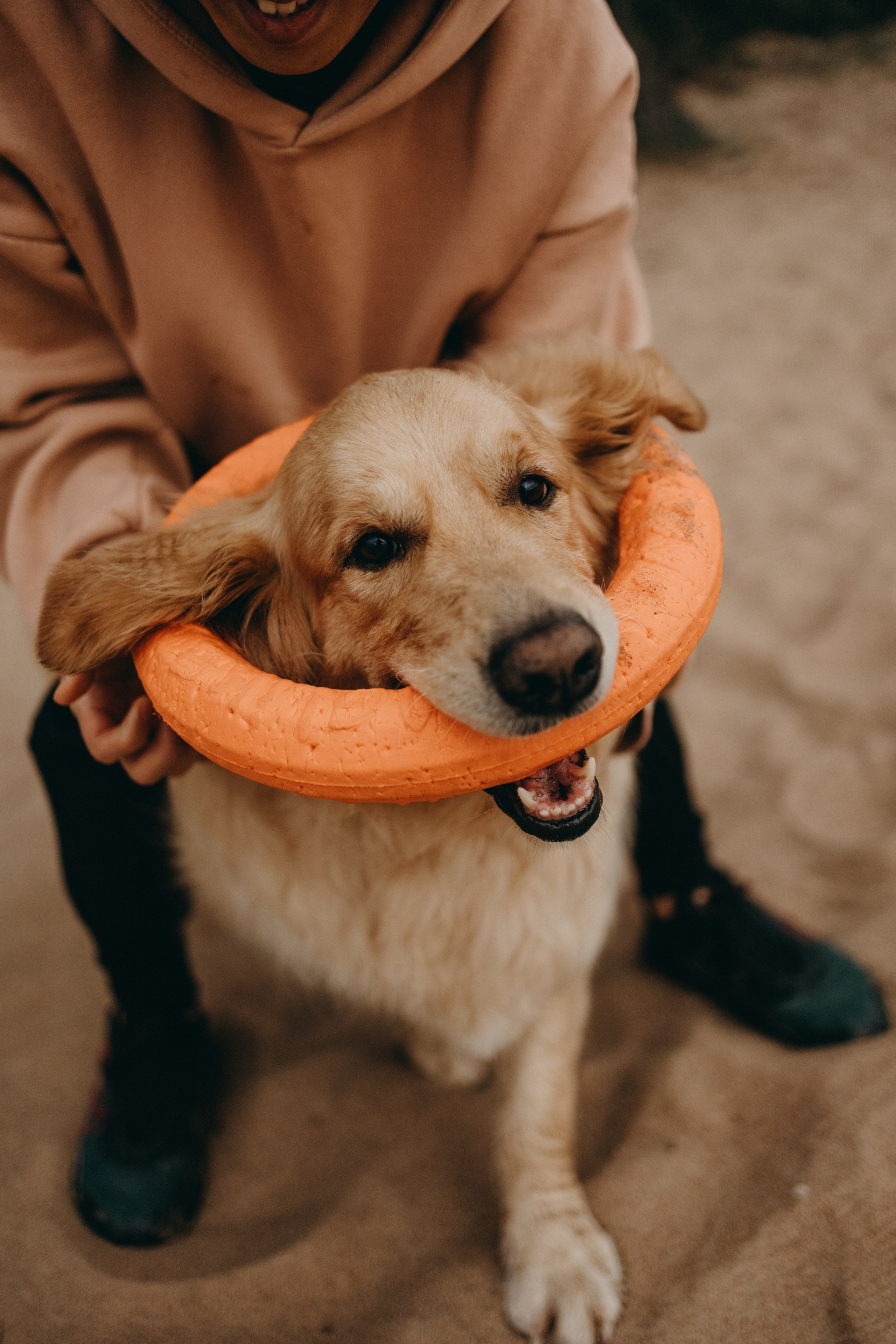 Фоси и его семьи. Фотограф — Анималист | Санкт-Петербург