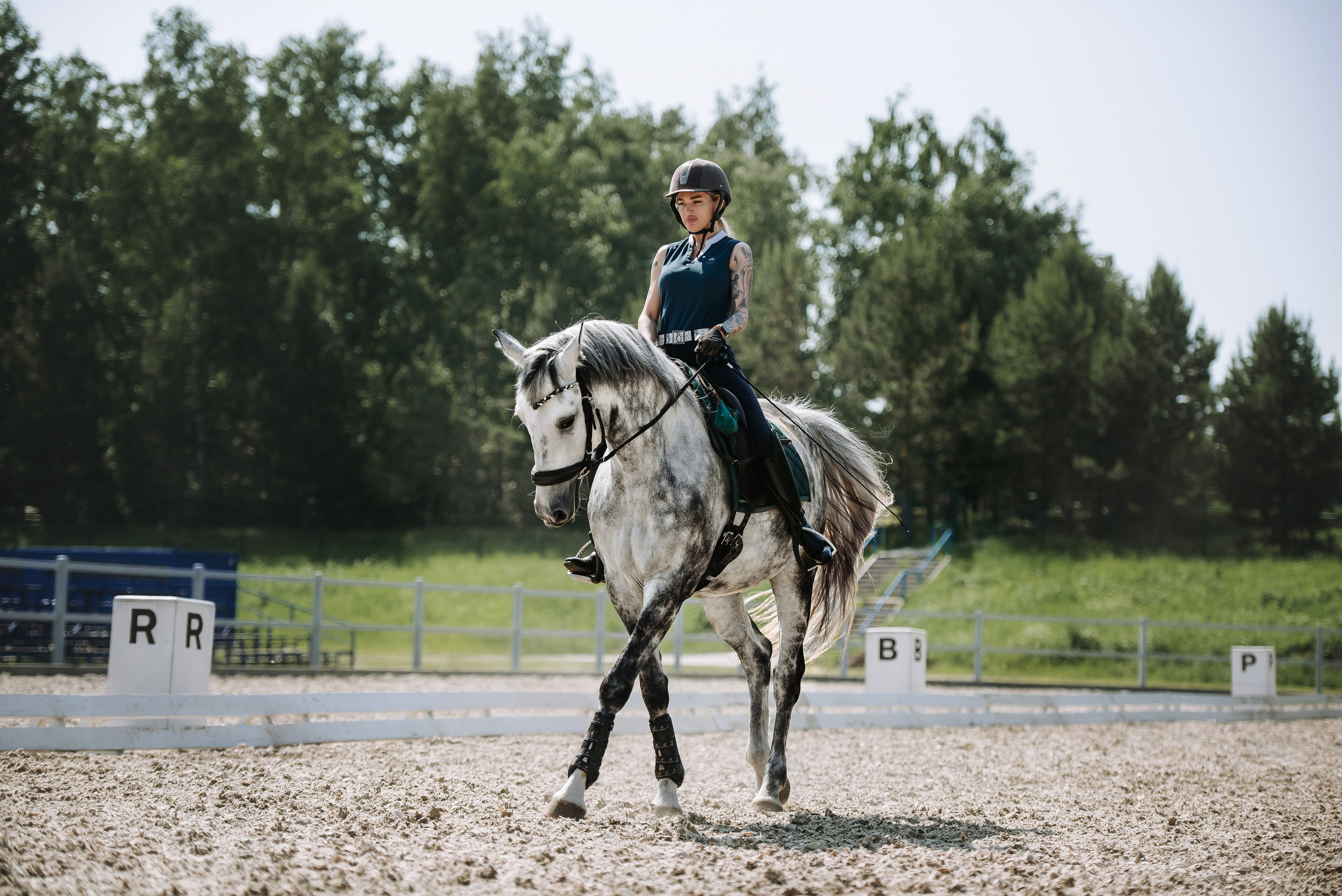 Фотосессия с лошадью Красноярск. Фотограф Диана Оленина Красноярск / Братск