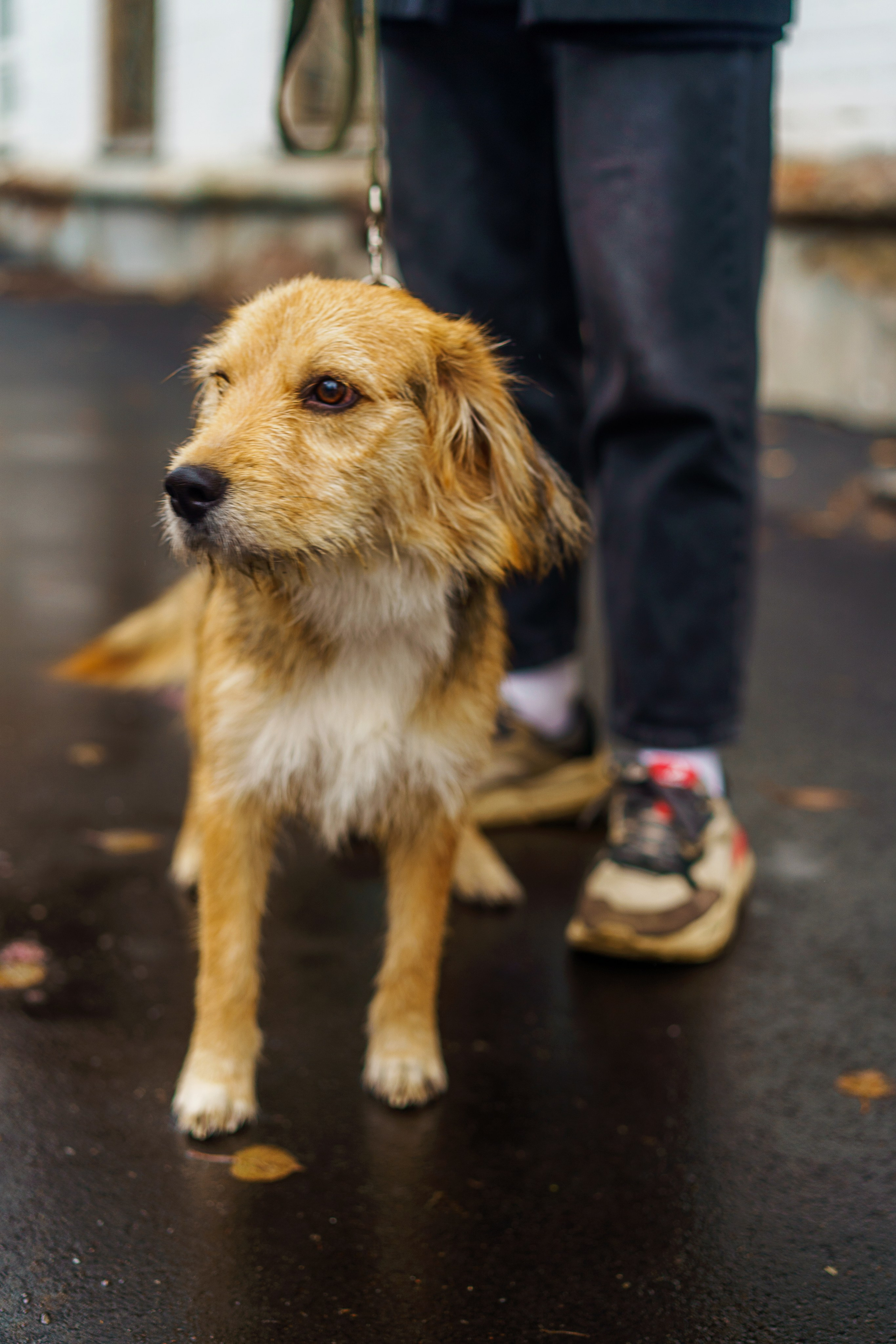 С животными. Фотограф Челябинск · Ольга Серебрякова