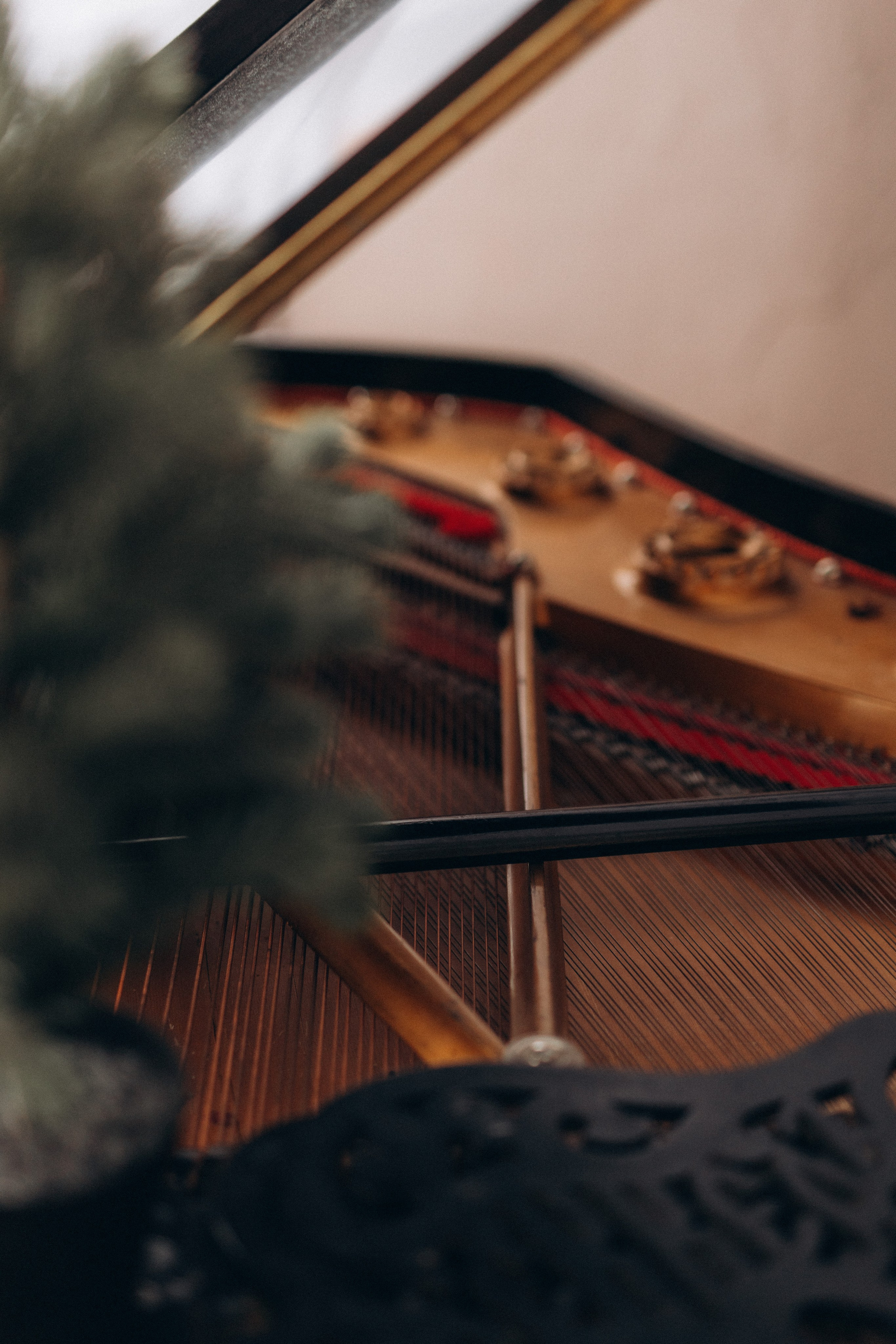 Дарья. Фотограф Анастасия Петрова