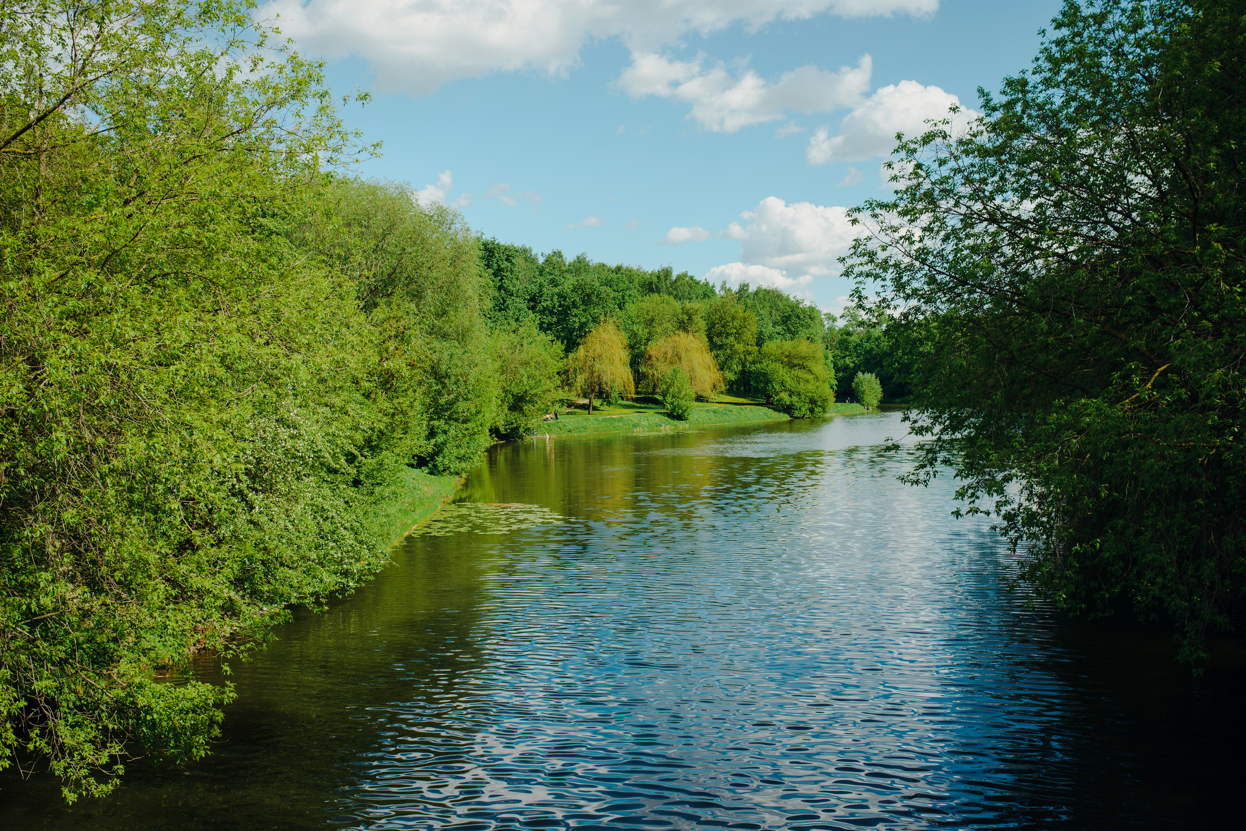 Александра & Владимир. Видеограф и фотограф на свадьбу в Москве