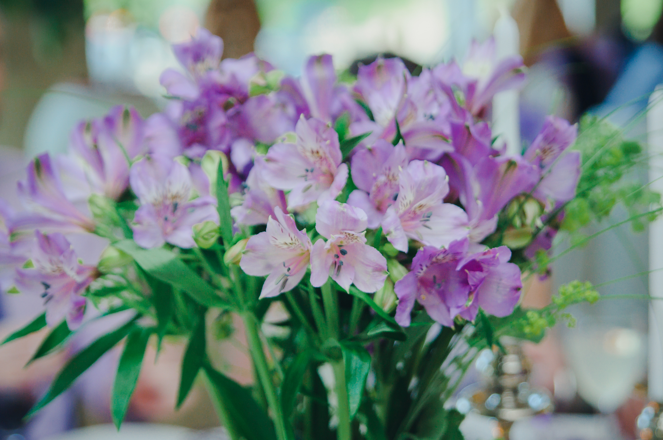 Александра & Владимир. Видеограф и фотограф на свадьбу в Москве