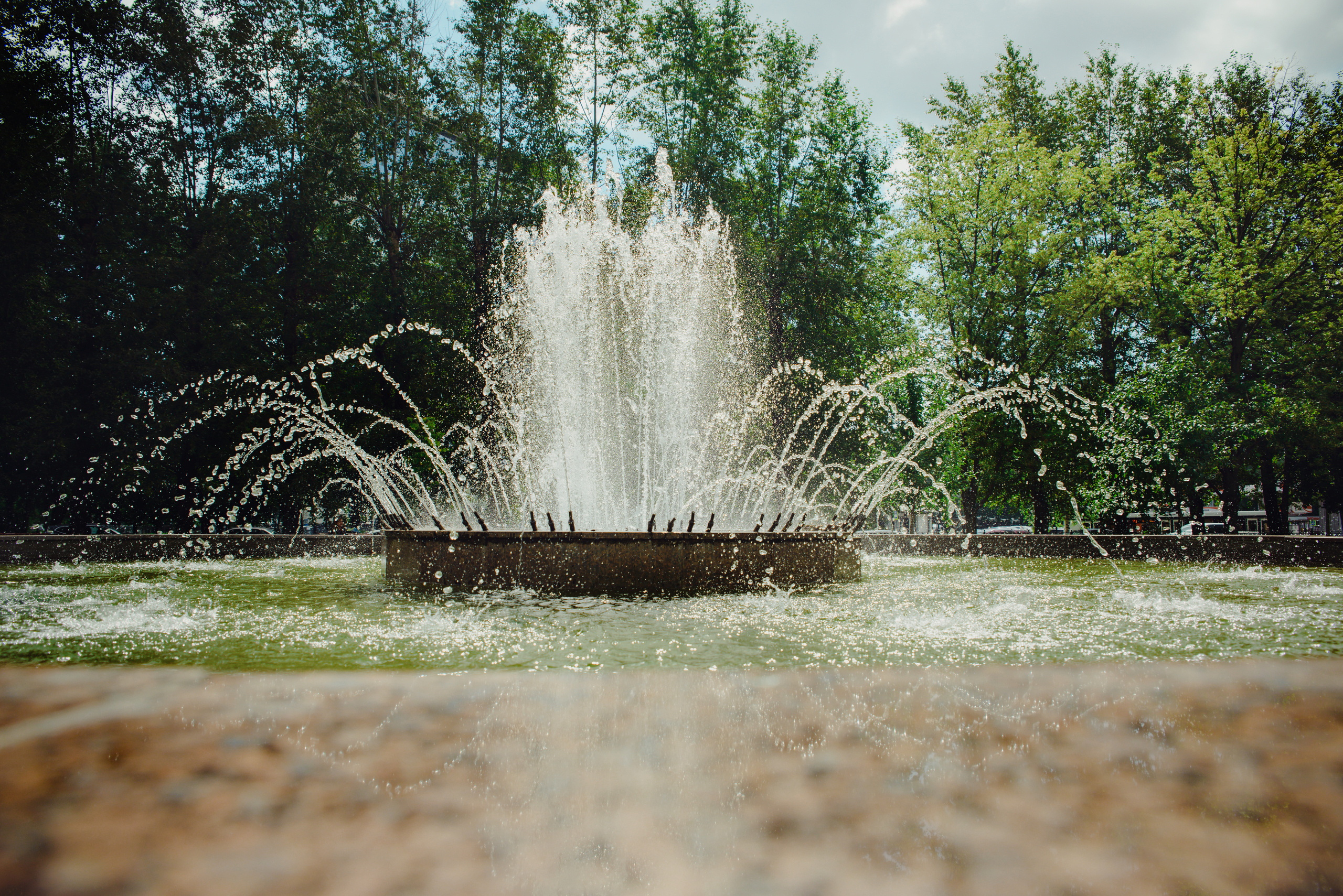Ксения & Антон. Видеограф и фотограф на свадьбу в Москве