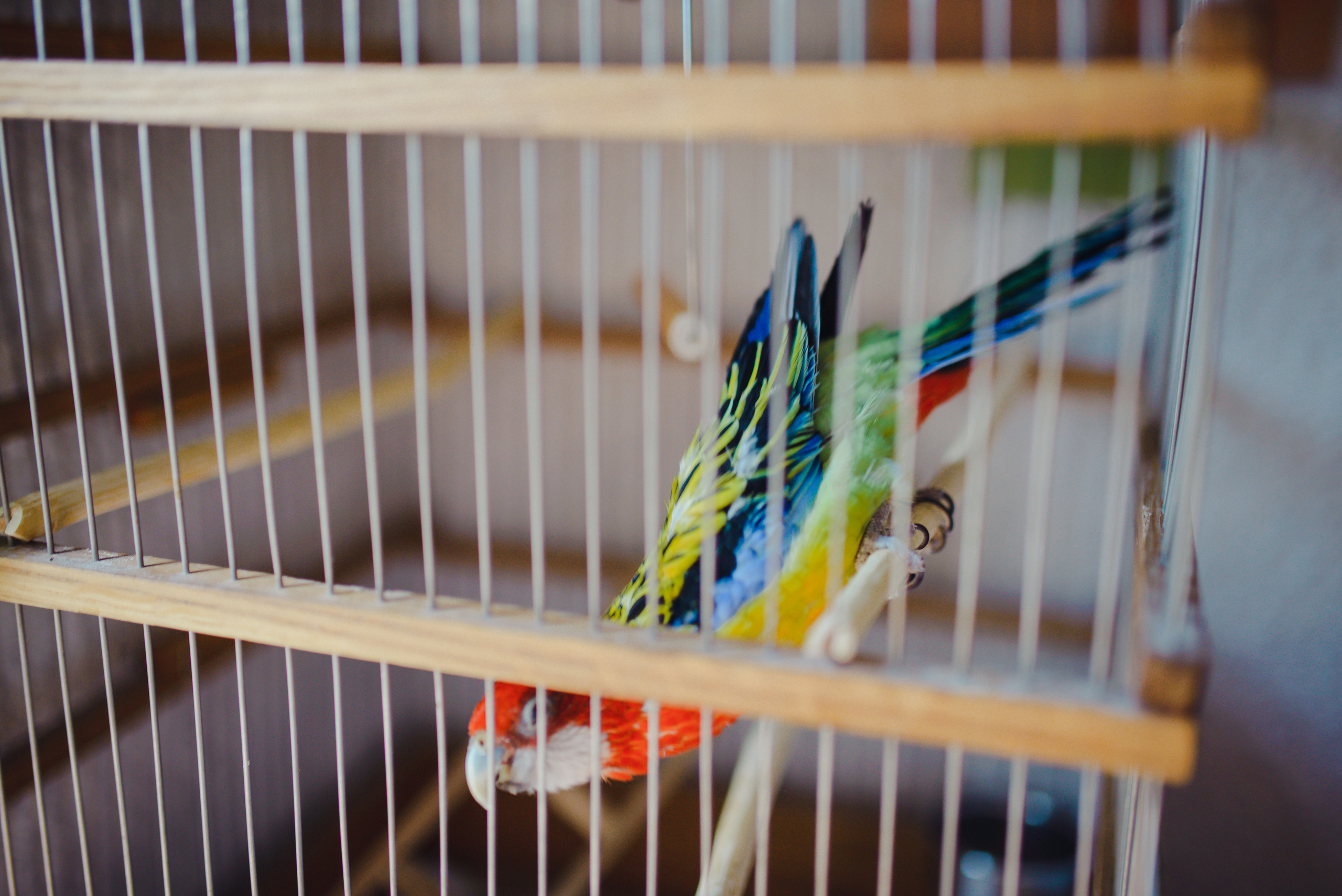 Александра & Владимир. Видеограф и фотограф на свадьбу в Москве