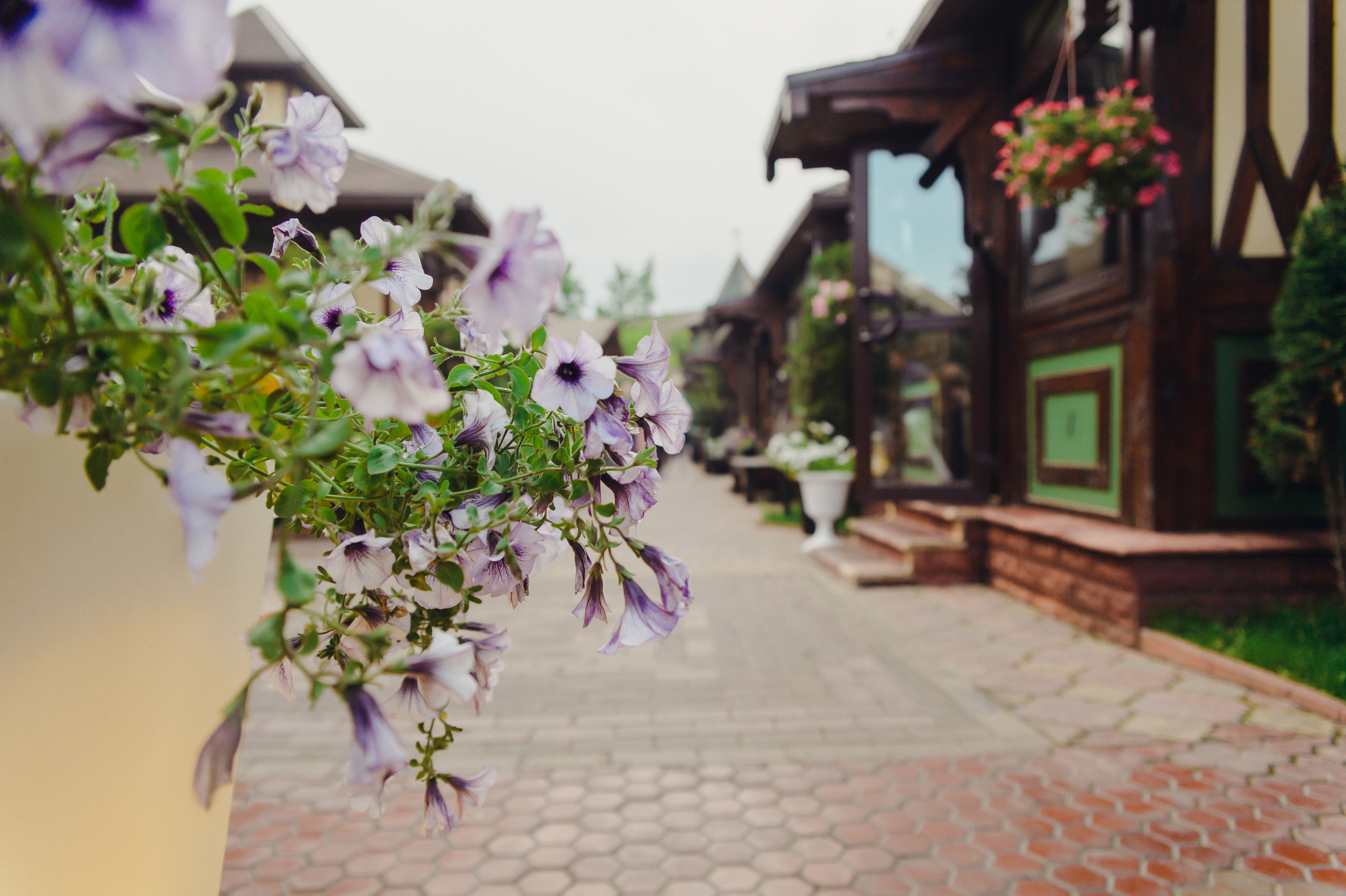 Елена & Антон. Видеограф и фотограф на свадьбу в Москве