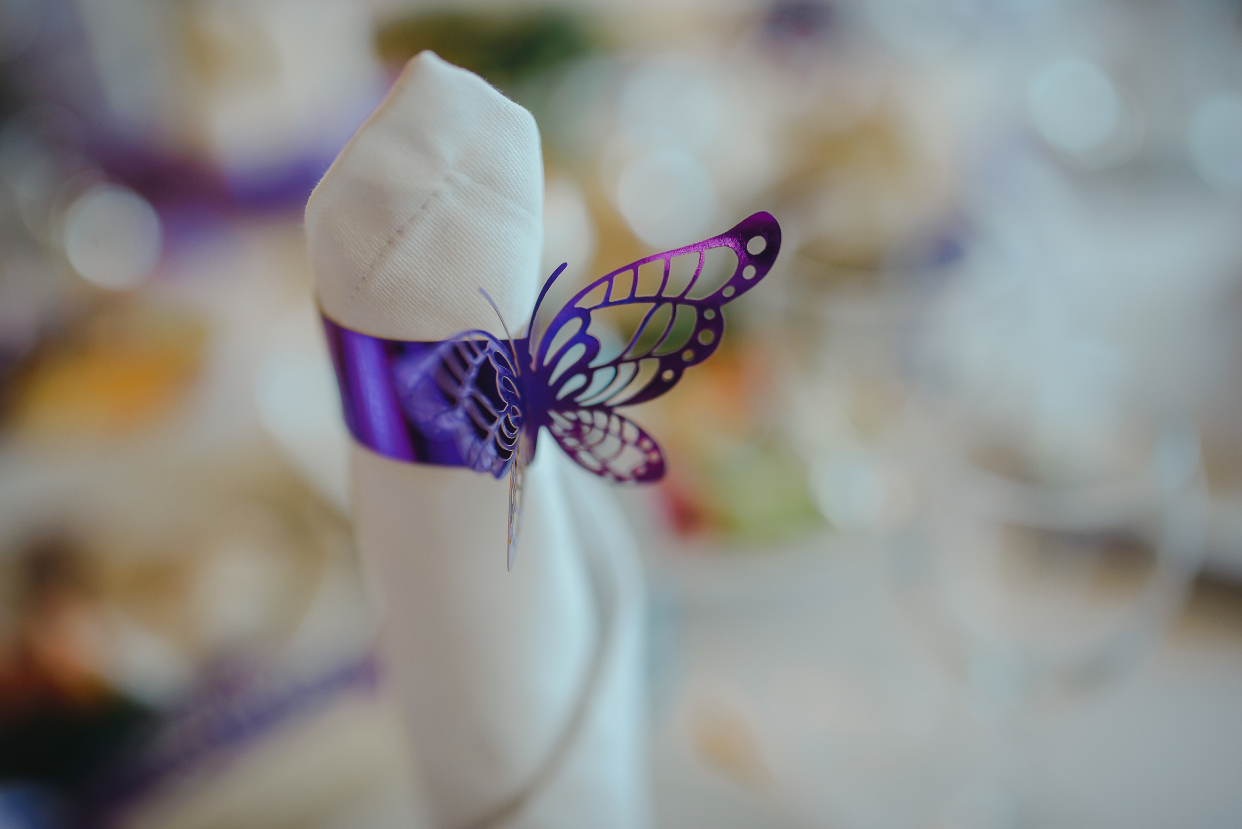 Александра & Владимир. Видеограф и фотограф на свадьбу в Москве