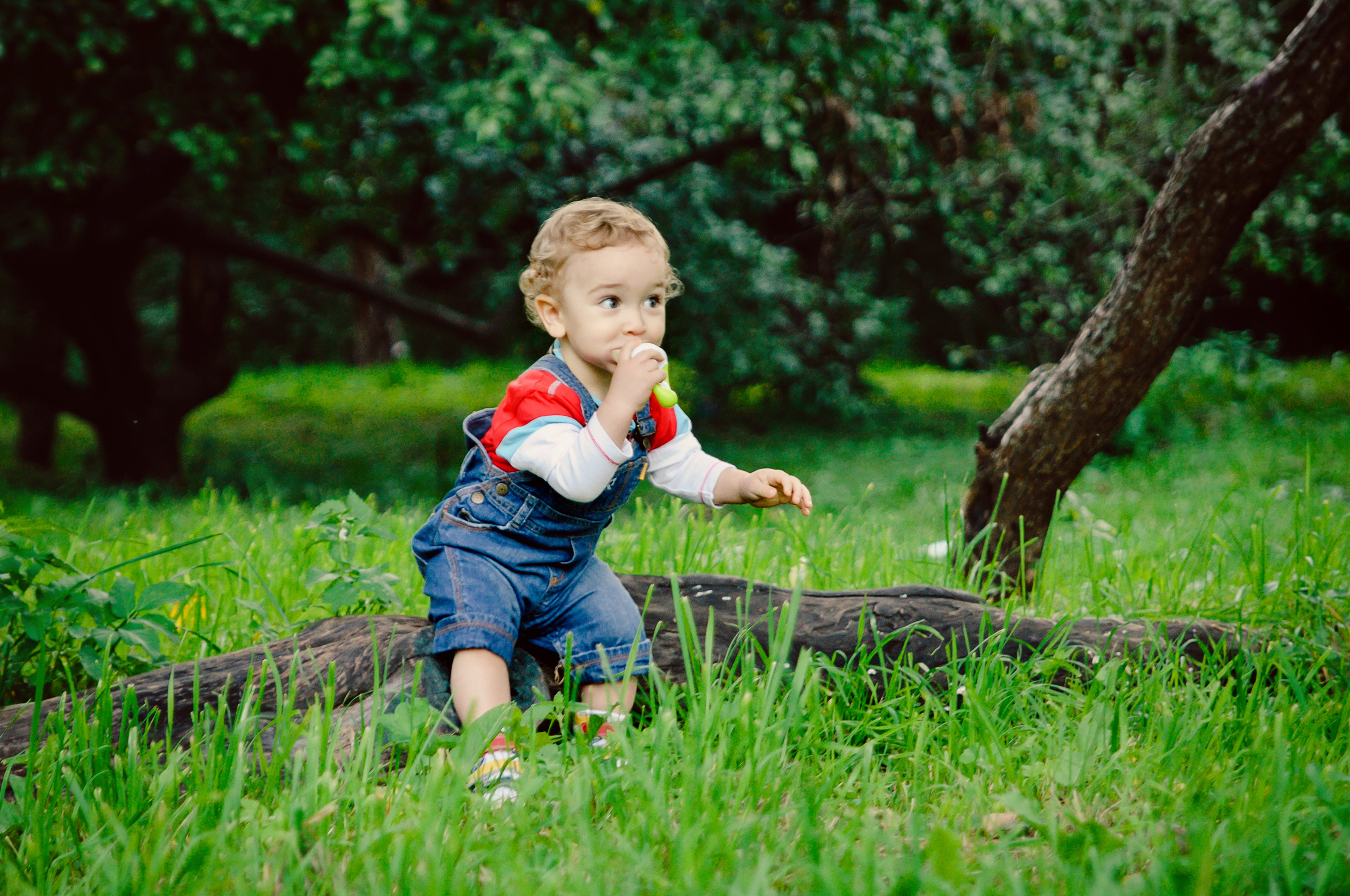 Дети. Видеограф и фотограф на свадьбу в Москве
