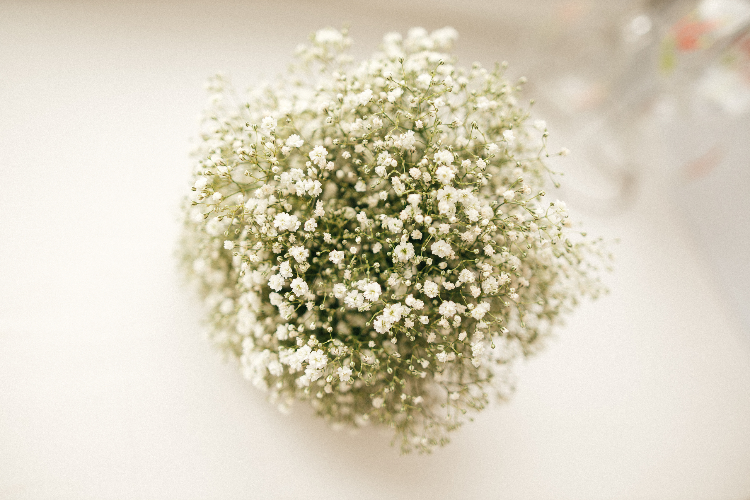 Алмас и Загира. Свадебный и женский фотограф