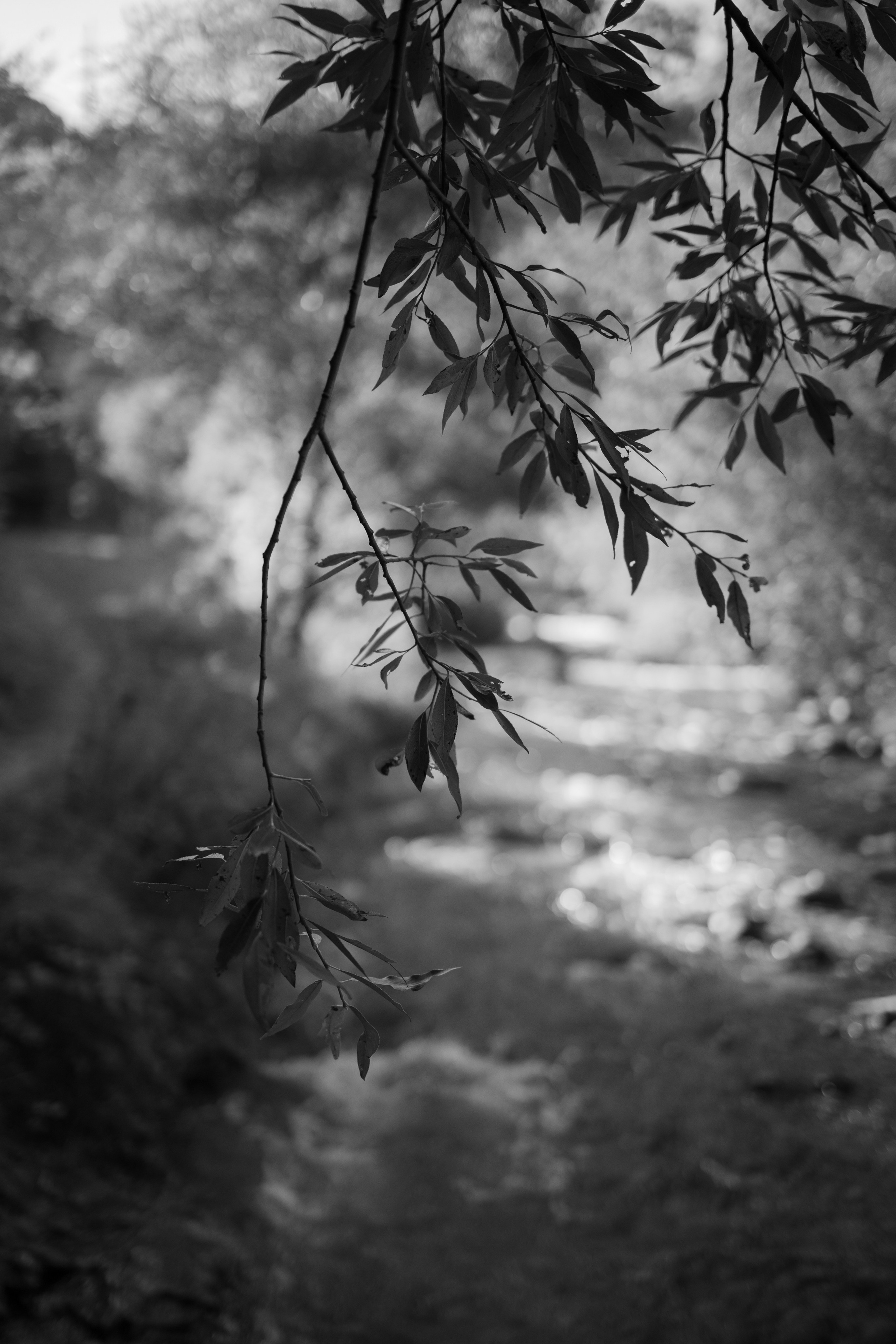 --. Фотограф Пятигорска Кисловодск Домбай Архыз