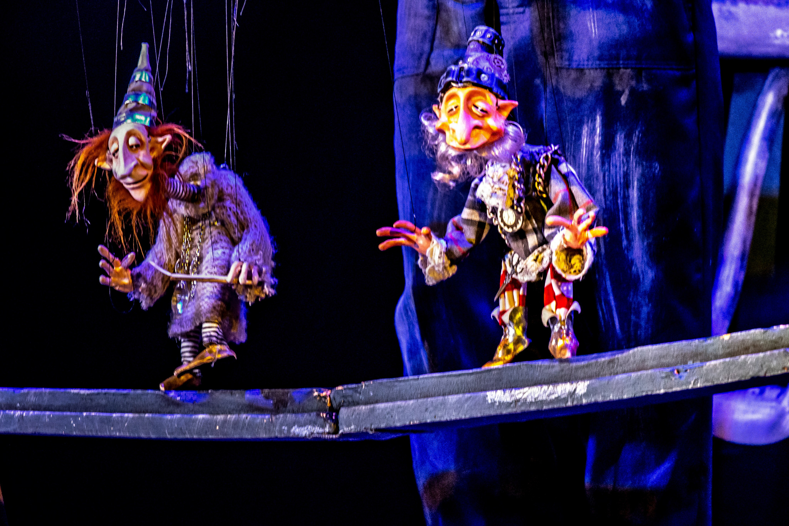 Театрп гномов или настоящие друзья. Фотограф в Сочи Юрий Шептаев