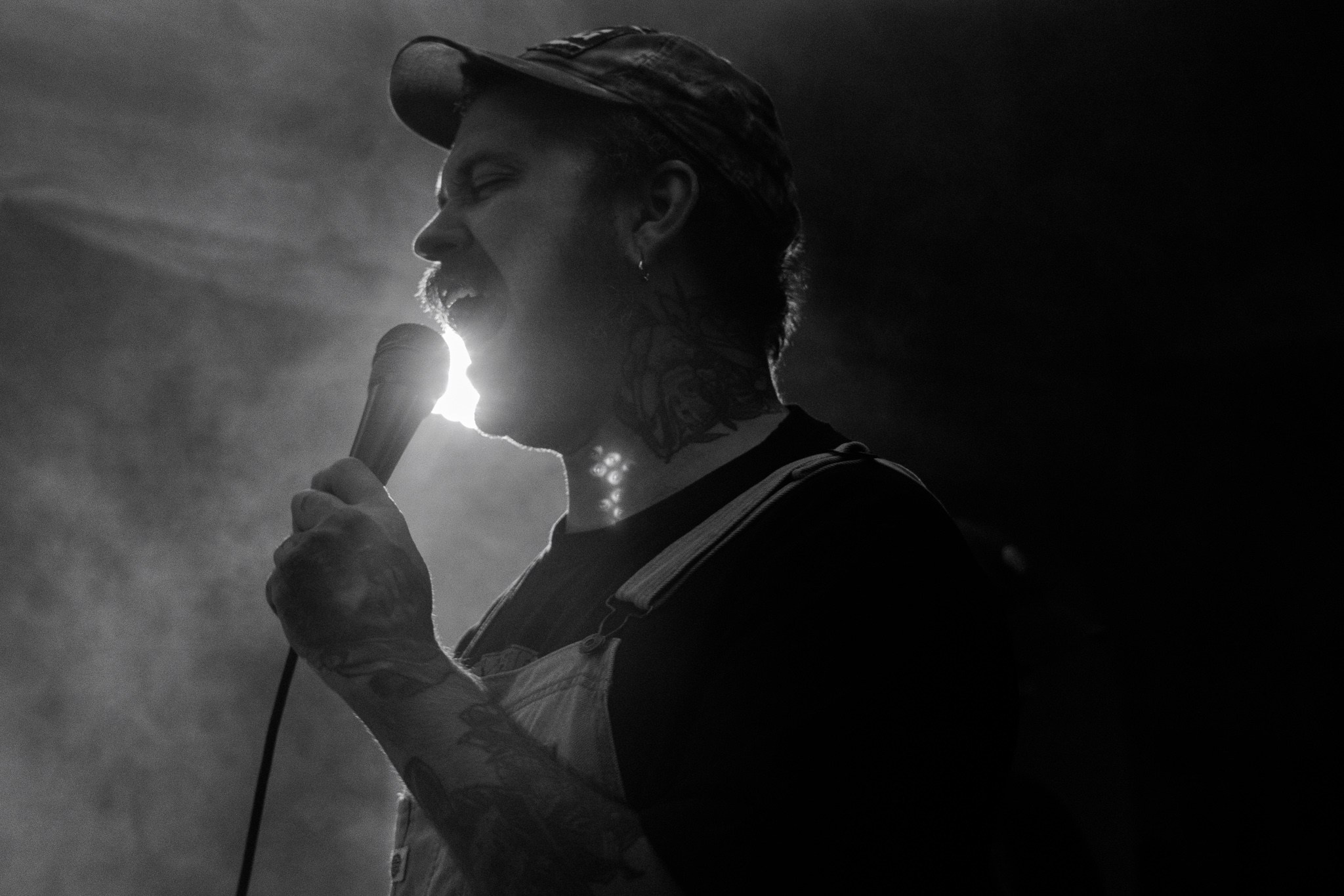 Змееед, Apodemus, 20.12.25, TAGO)))MAGO)))